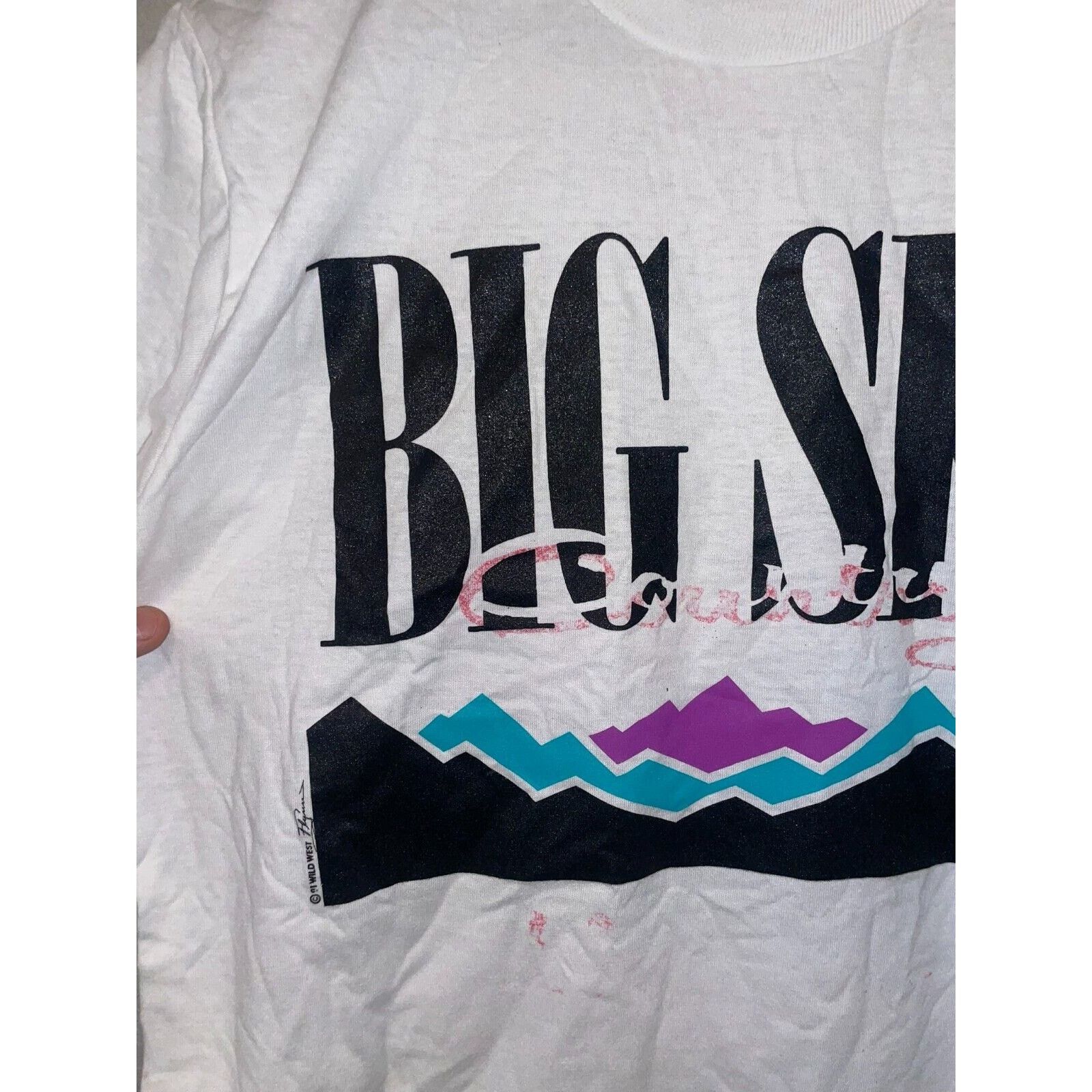Jerzees Vintage Big Sky Shirt Badlands Buffalo Tee Test Print 90s M Size US M / EU 48-50 / 2 - 3 Thumbnail
