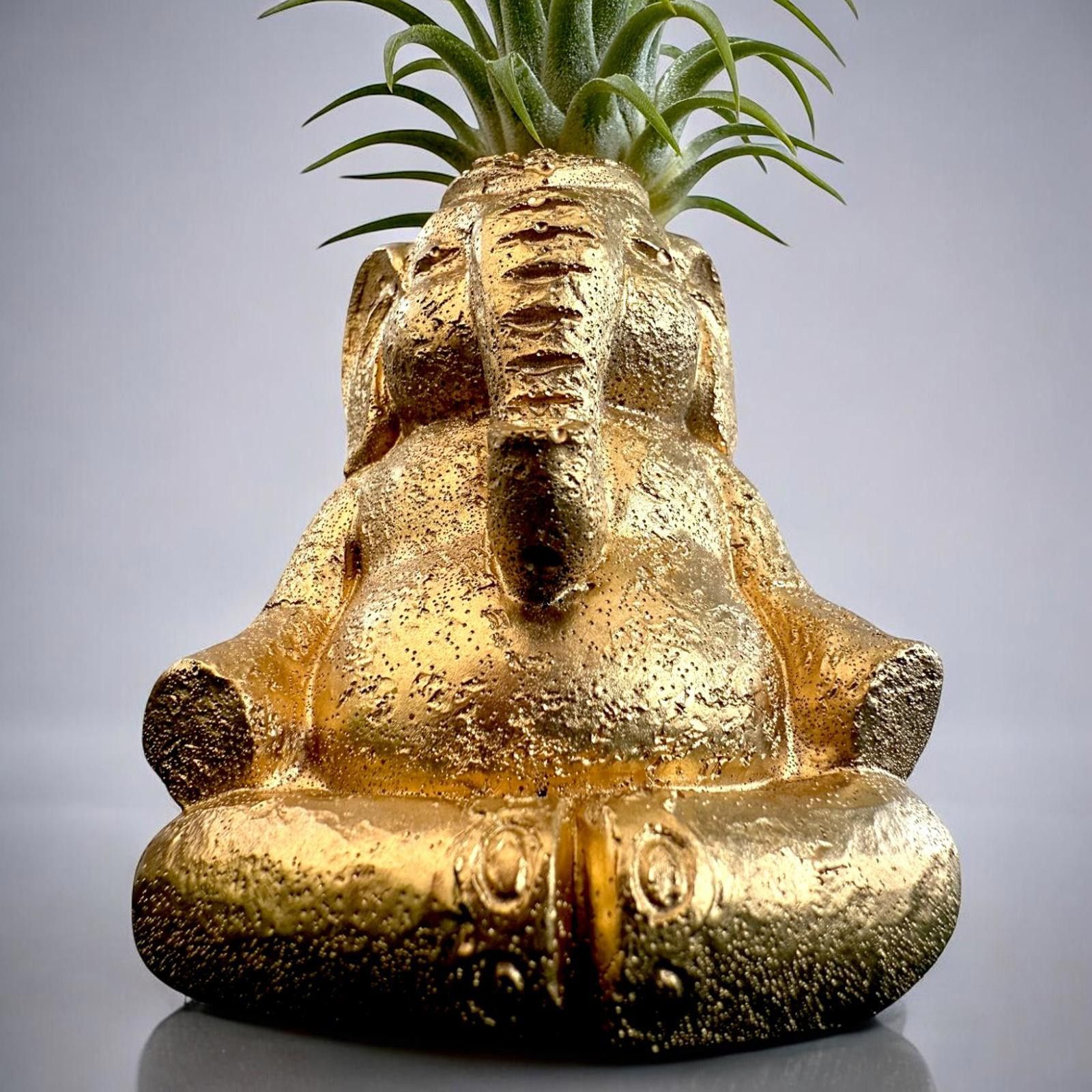 Other Meditating Elephant Planter, Yoga Gift, Zen Air Plant Holder Size ONE SIZE - 4 Thumbnail