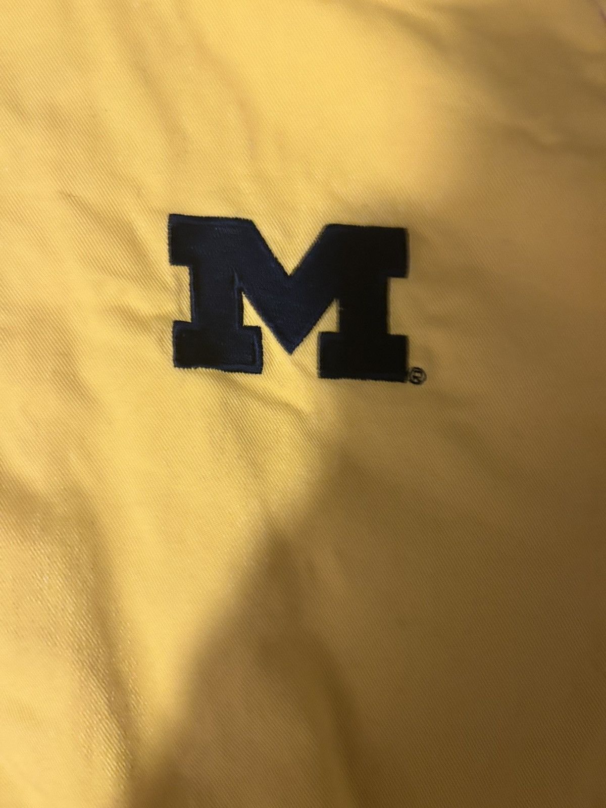 Nike Vintage yellow and navy nike x university of Michigan jacket Size US L / EU 52-54 / 3 - 2 Thumbnail
