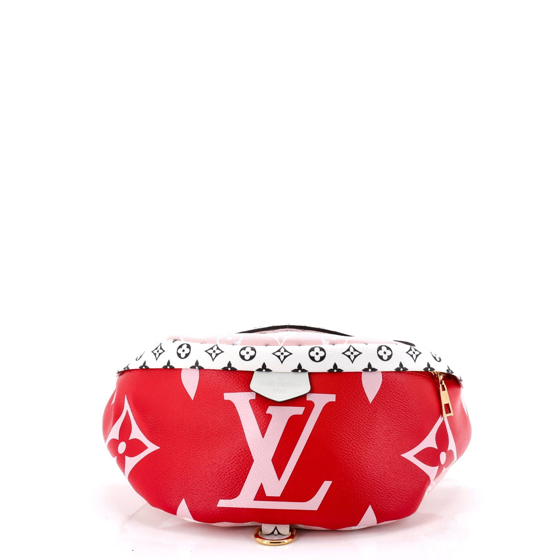 Louis Vuitton Bum Bag Size ONE SIZE - 1 Thumbnail