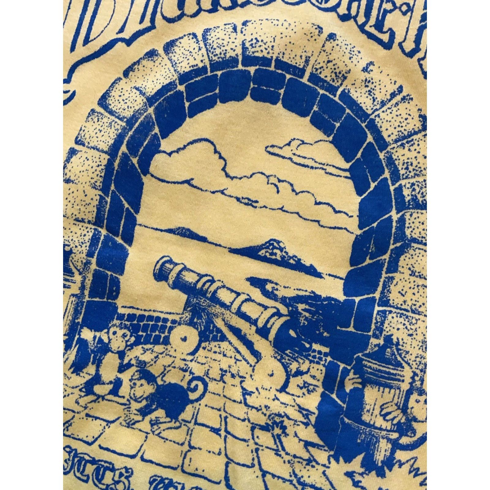 Vintage VINTAGE Hanes 50/50 Brimstone Hill Saint Kitts West Indies Single Stitch T-Shirt XL Mens Womens Size US XL / EU 56 / 4 - 7 Thumbnail