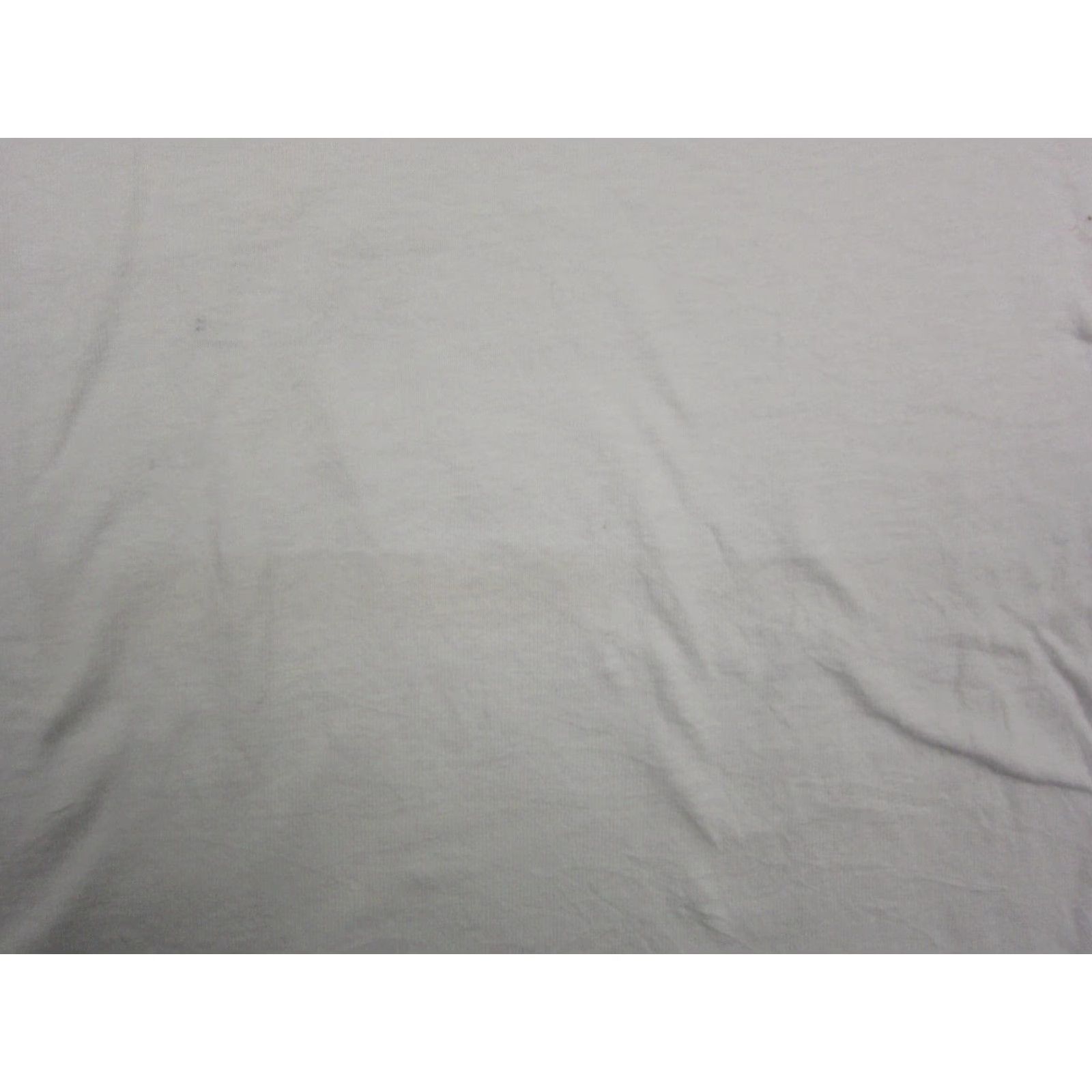 Hanes VINTAGE Hanes Shirt Adult L White ASIC in a Flash Actel FPGA Single Stitch Y2K Outdoor 90s Mens Shirt Size US L / EU 52-54 / 3 - 7 Thumbnail