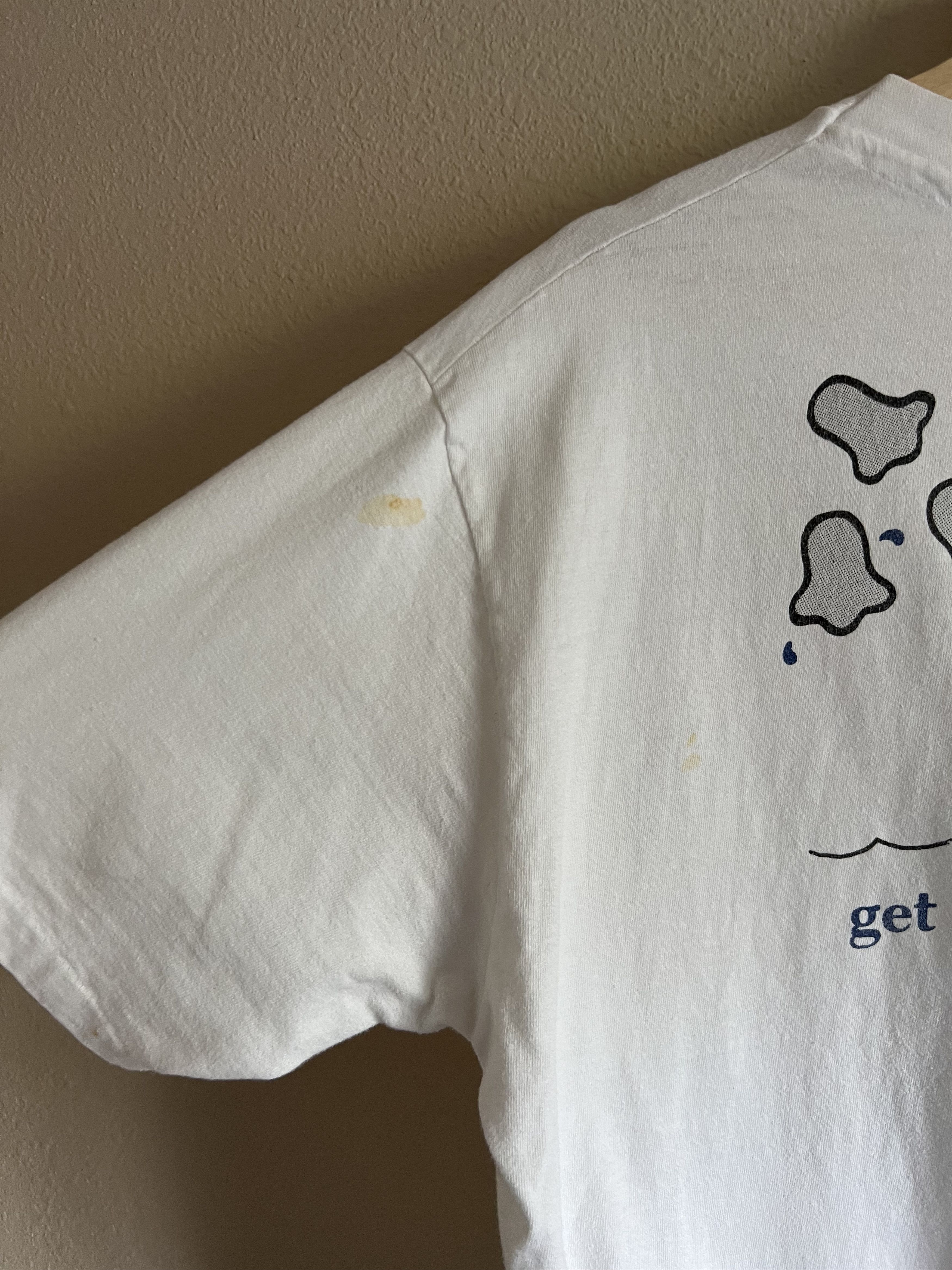 Hanes Vintage 80s University of Iowa Riverfest Tee in White Size US XL / EU 56 / 4 - 6 Thumbnail