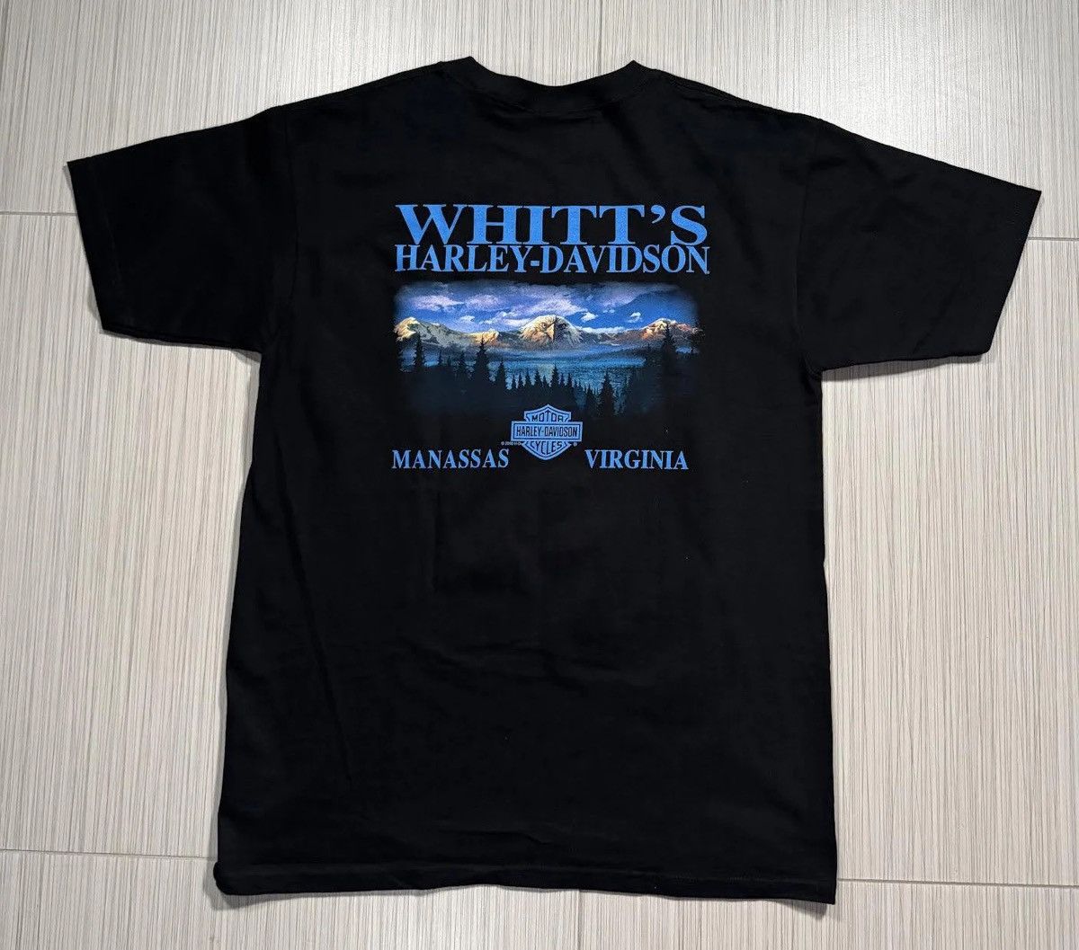 Harley Davidson Vintage Harley Davidson Lightning Eagle T Shirt (Size L) NWT Size US L / EU 52-54 / 3 - 4 Thumbnail
