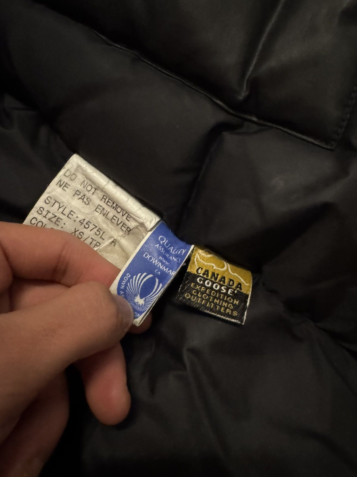 Canada Goose Canada Goose Expedition Parka Size US XS / EU 42 / 0 - 11 Thumbnail