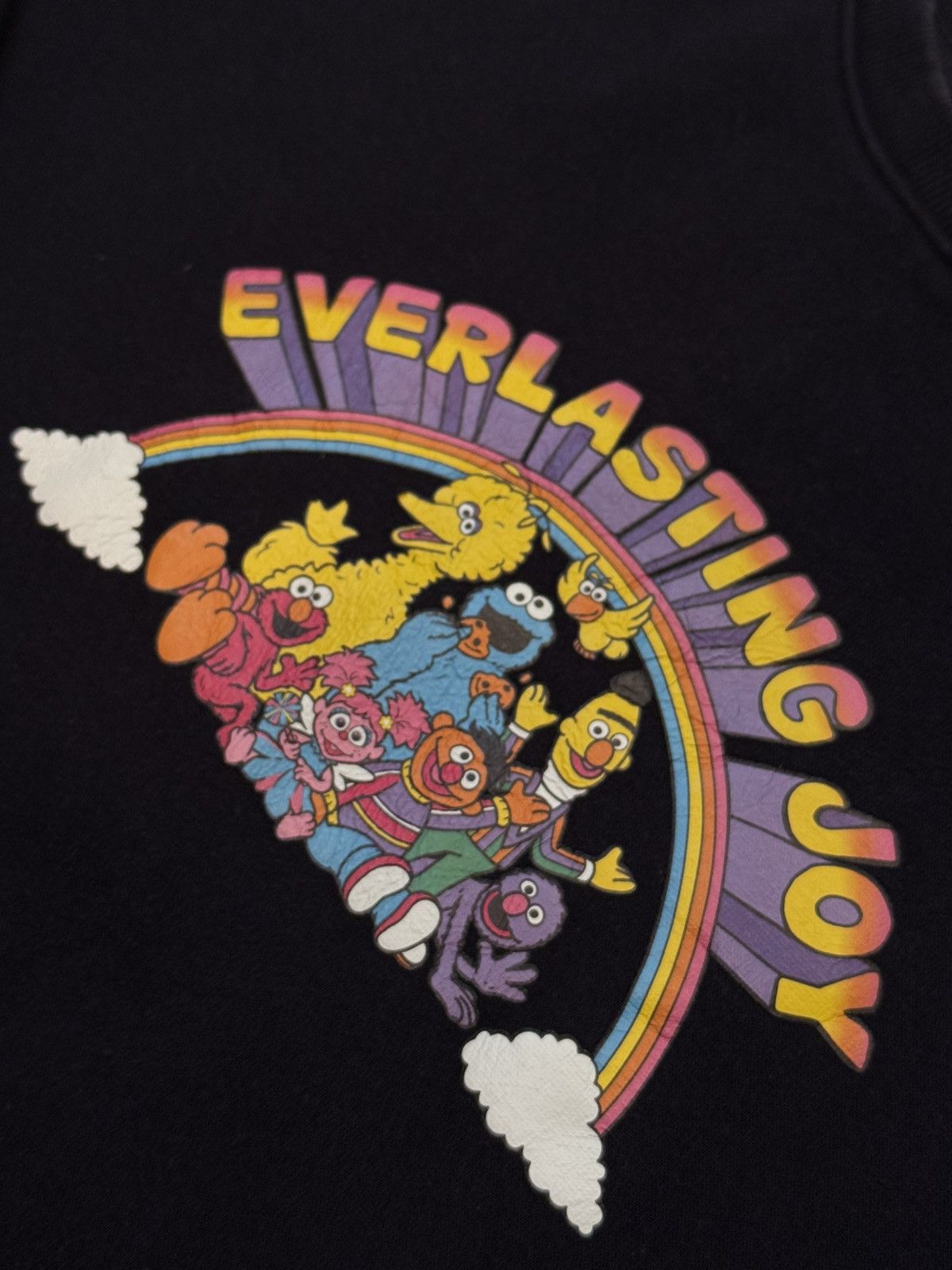 Other ‘Sesame Street’ Everlasting Joy Sweater 2022 Size US S / EU 44-46 / 1 - 3 Thumbnail