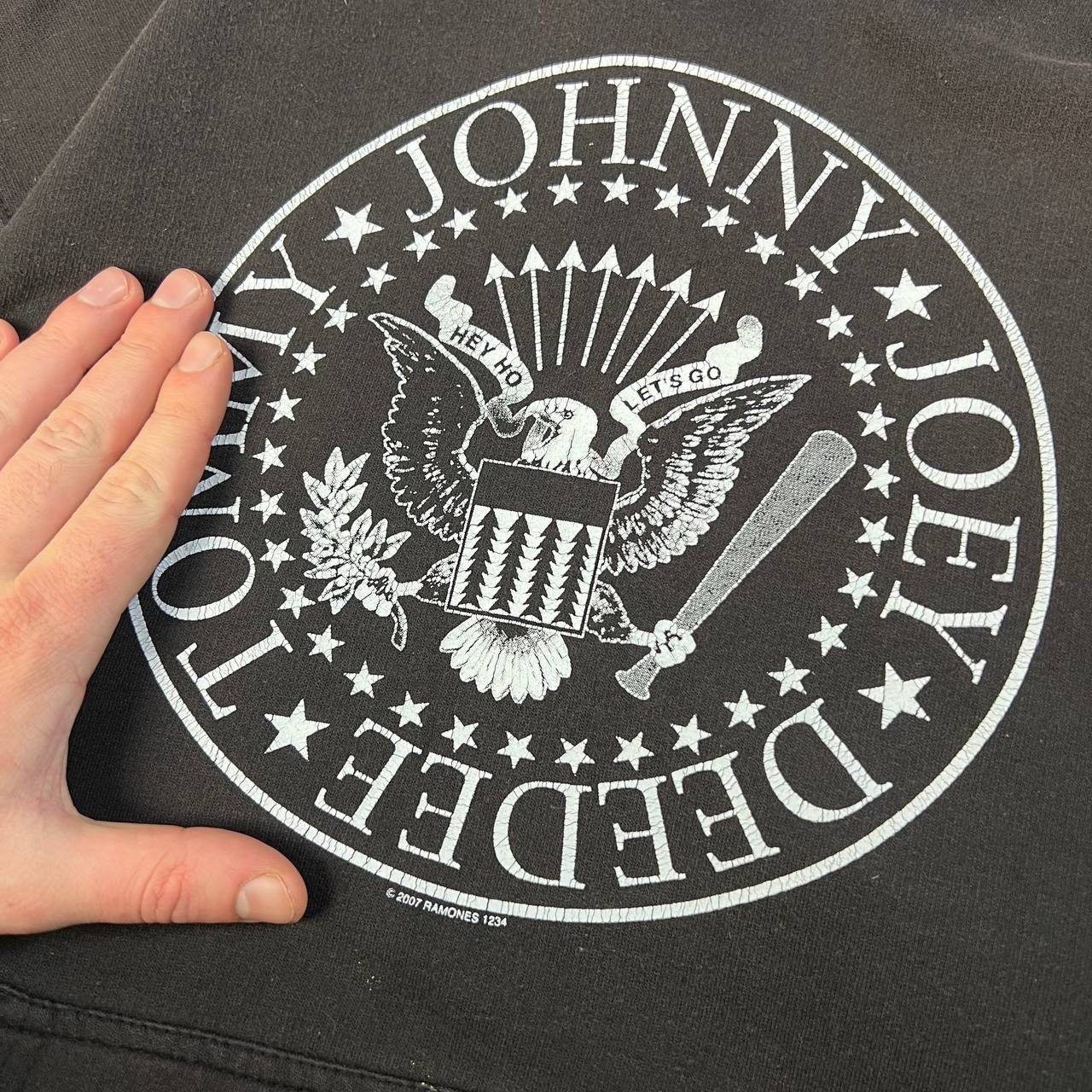 Band Tees Ramones Big Logo Vintage Y2K Distressed Rock Band Hoodie Size US M / EU 48-50 / 2 - 5 Thumbnail