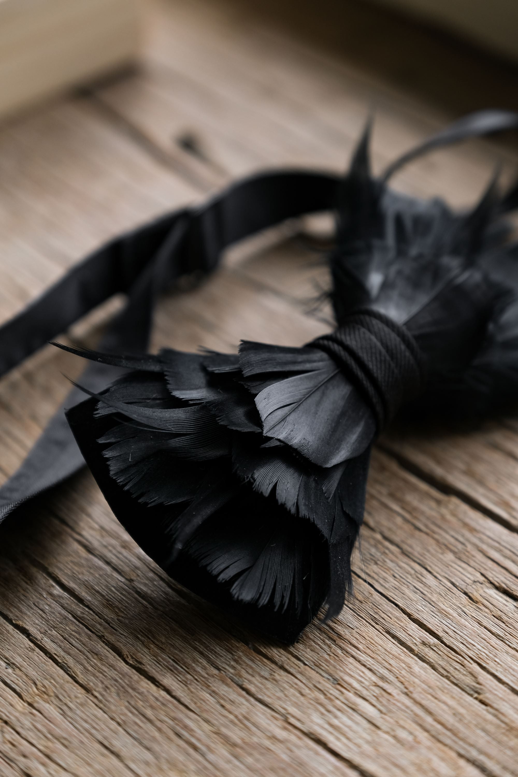 Other Brackish Black Feather Bow Tie Size ONE SIZE - 5 Thumbnail