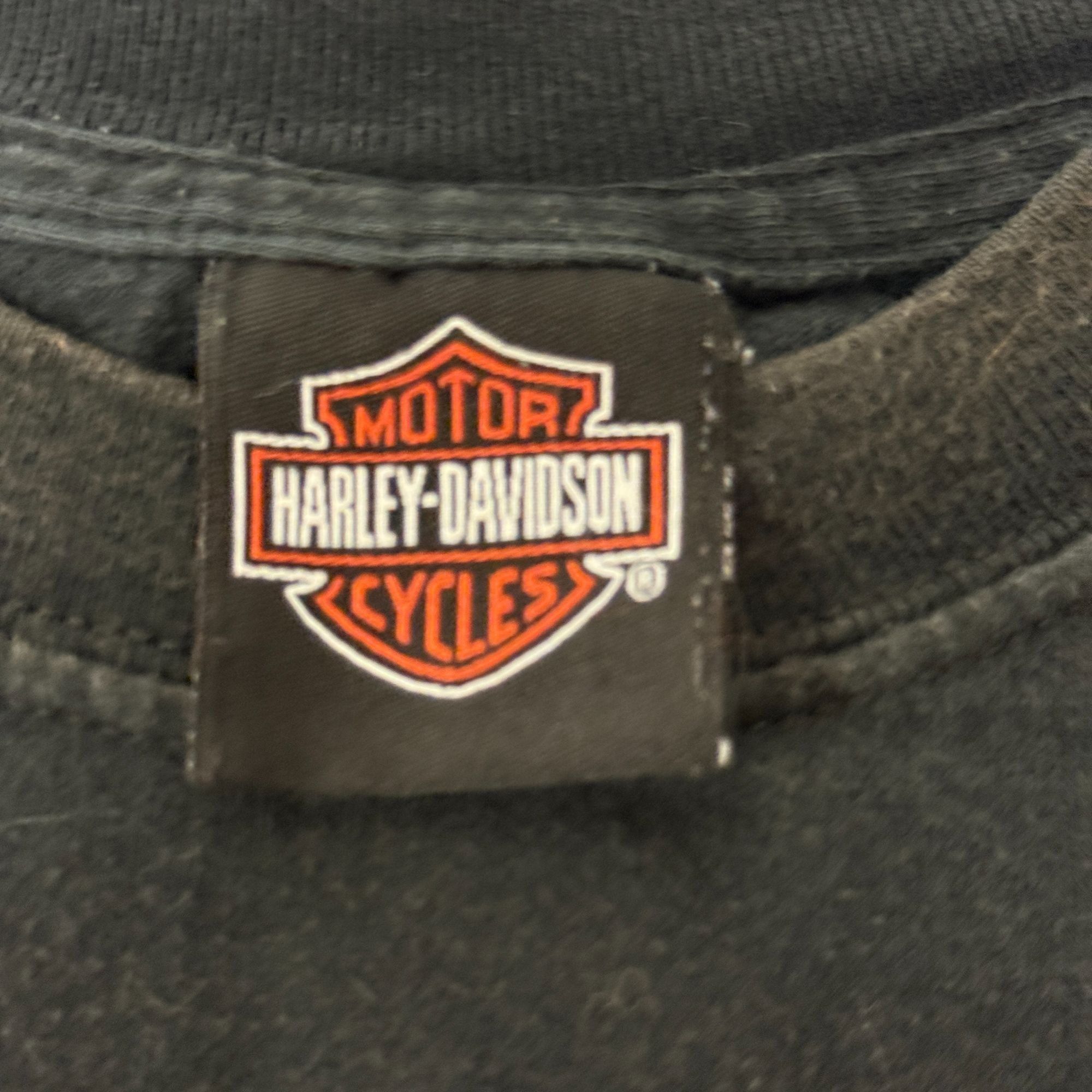 Harley Davidson Harley Davidson Motorcycle Naples Fl LURKING LION LS T Shirt Size US XXL / EU 58 / 5 - 7 Thumbnail