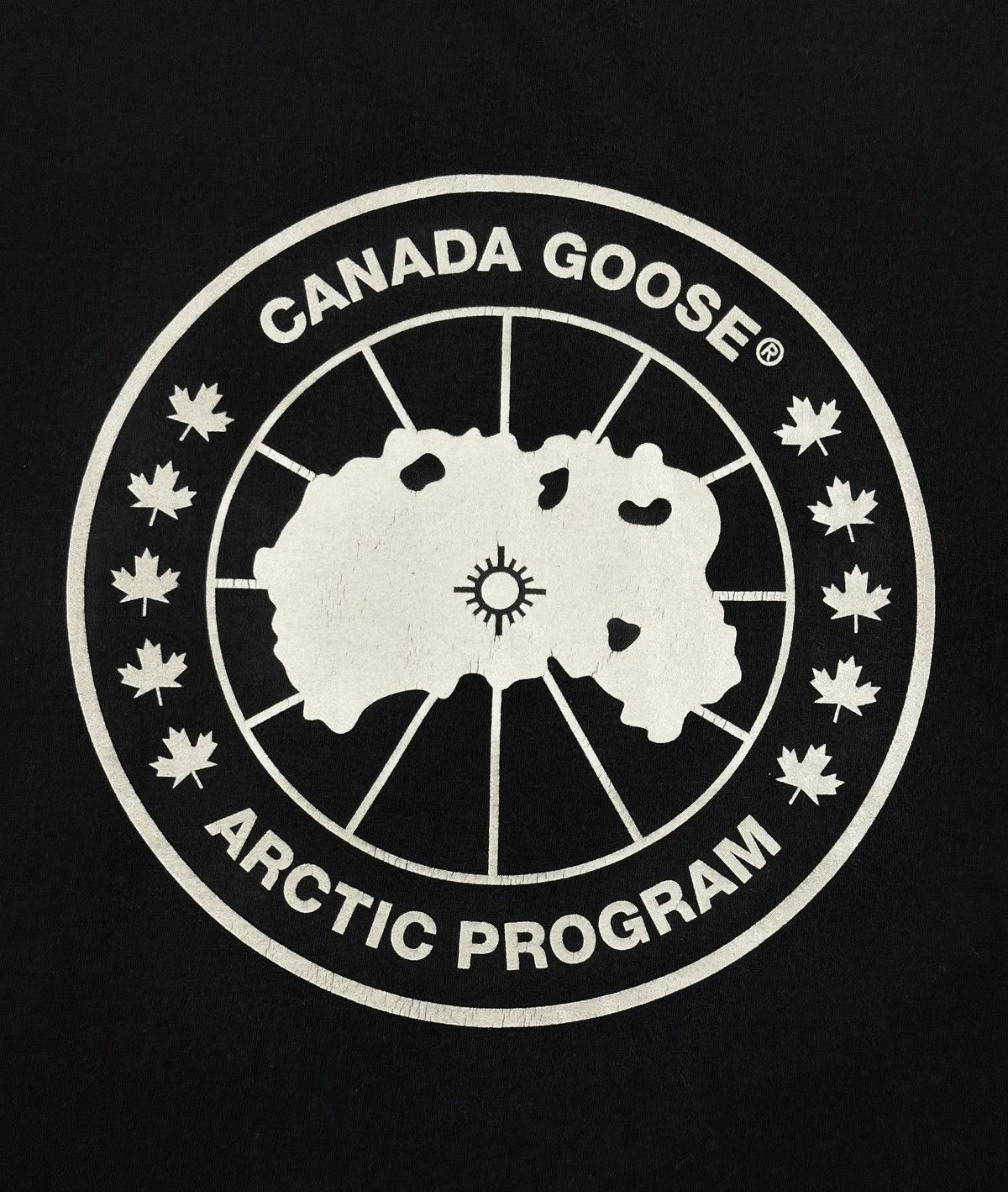 Canada Goose Canada Goose Arctic Program Black T-Shirt Size US L / EU 52-54 / 3 - 3 Thumbnail