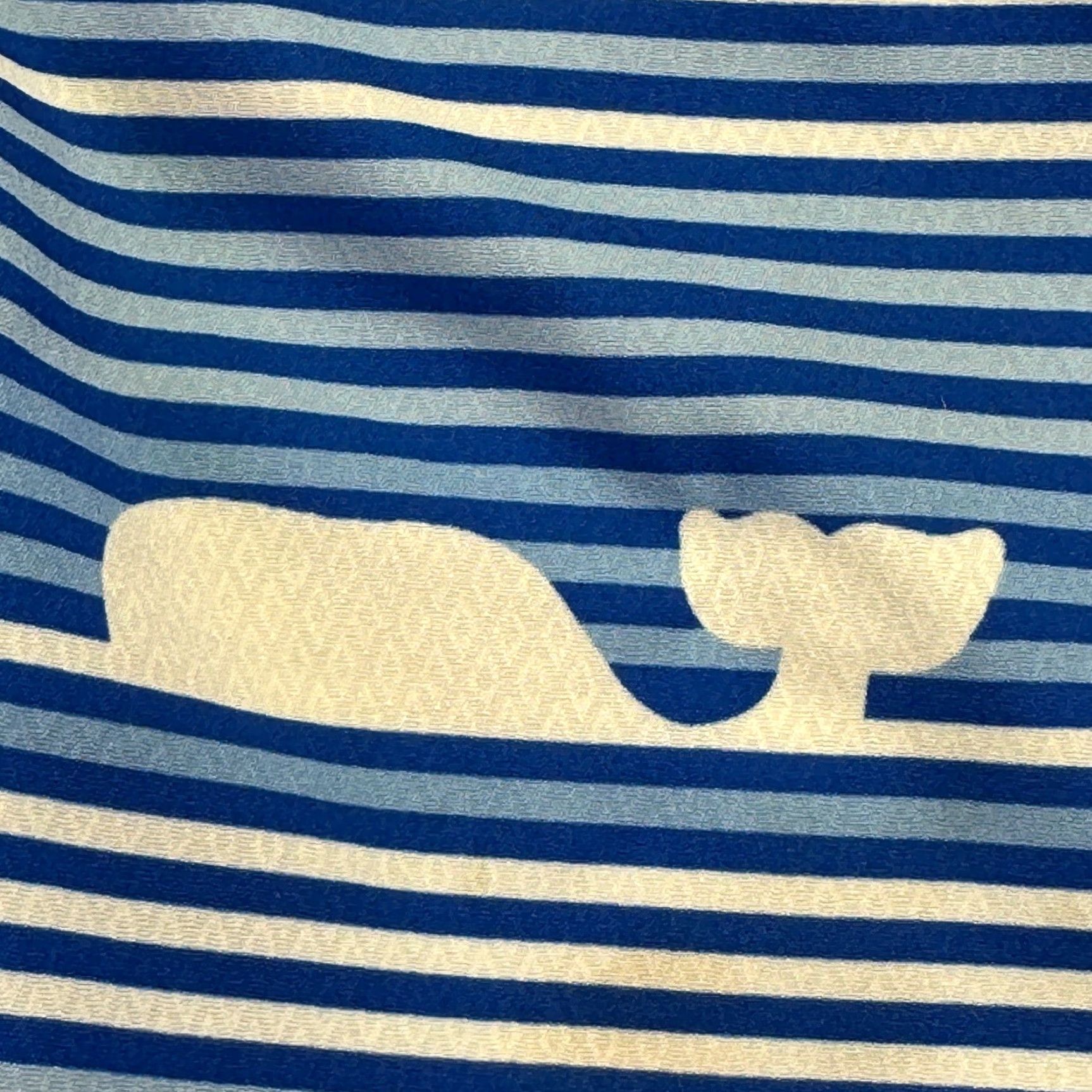 Vineyard Vines Vineyard Vines Whale Stripe Board Shorts Men Size 30 Blue White Swim Trunks Size US 29 - 6 Thumbnail