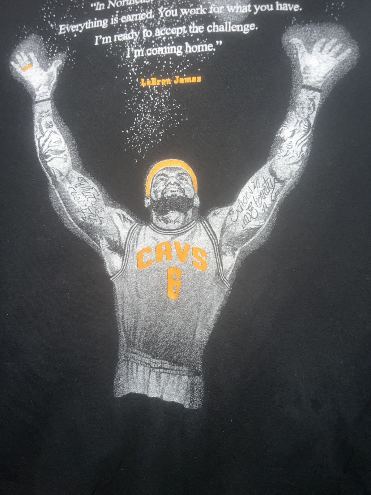 Gildan Gildan Softstyle LeBron James Home Tee Size US XL / EU 56 / 4 - 3 Thumbnail