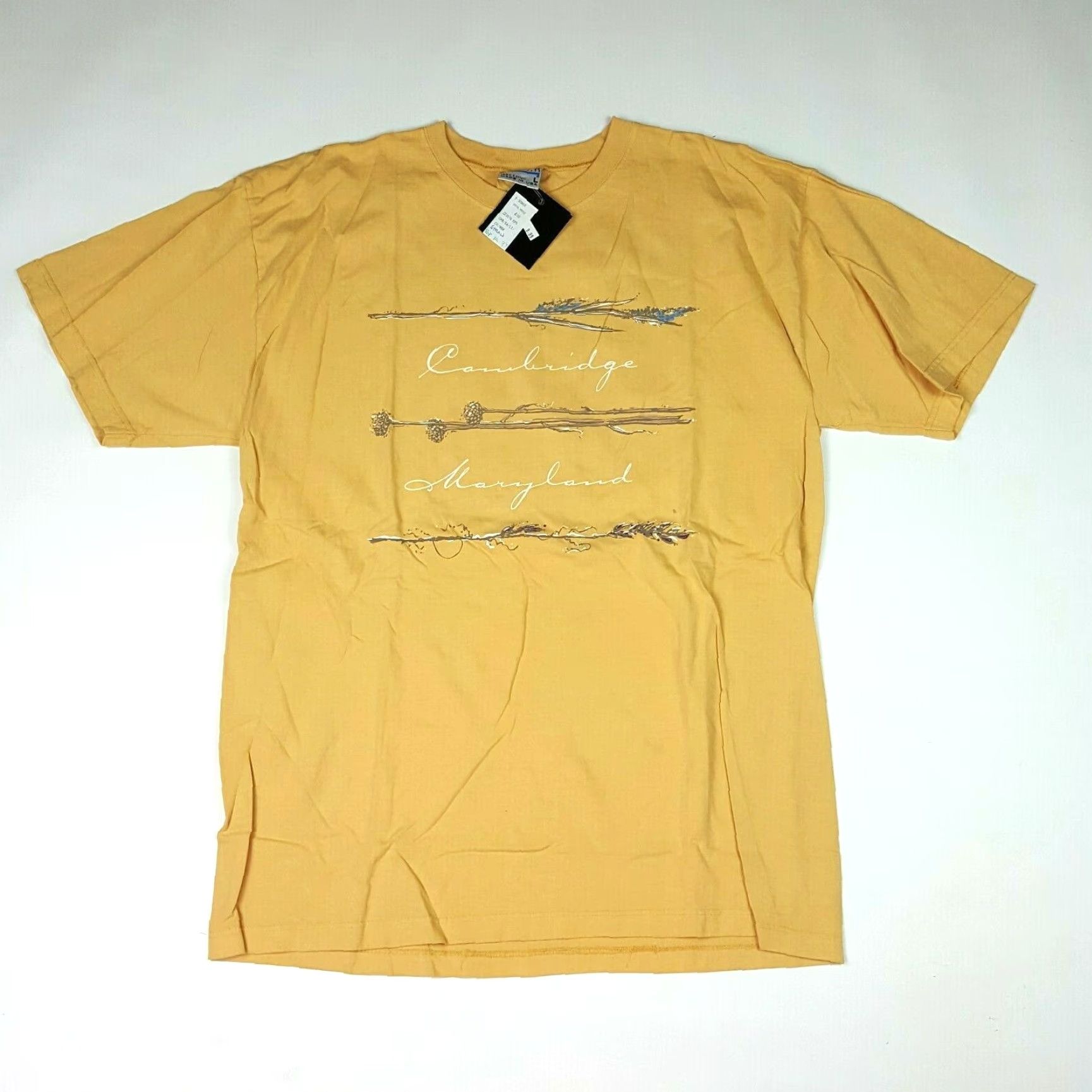 Vintage VINTAGE Cambridge Maryland Y2K Men's Size Large USA Made University T Shirt Size US L / EU 52-54 / 3 - 2 Thumbnail