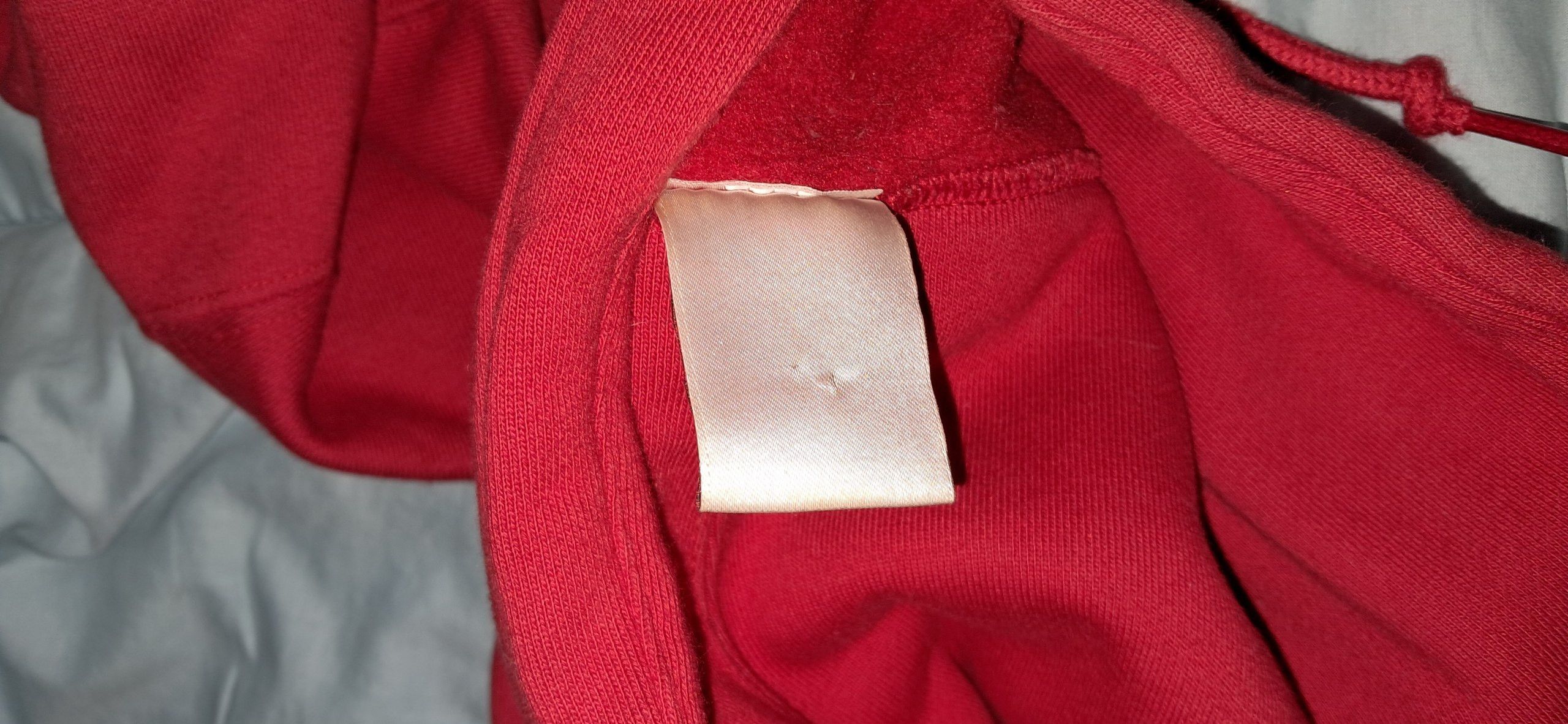 Nike × Supreme Supreme Nike Leather Applique Hoodie Size US L / EU 52-54 / 3 - 11 Thumbnail