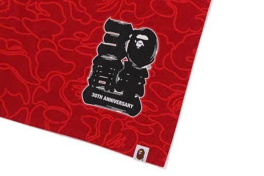 Bape Bape Noren Size ONE SIZE - 5 Thumbnail