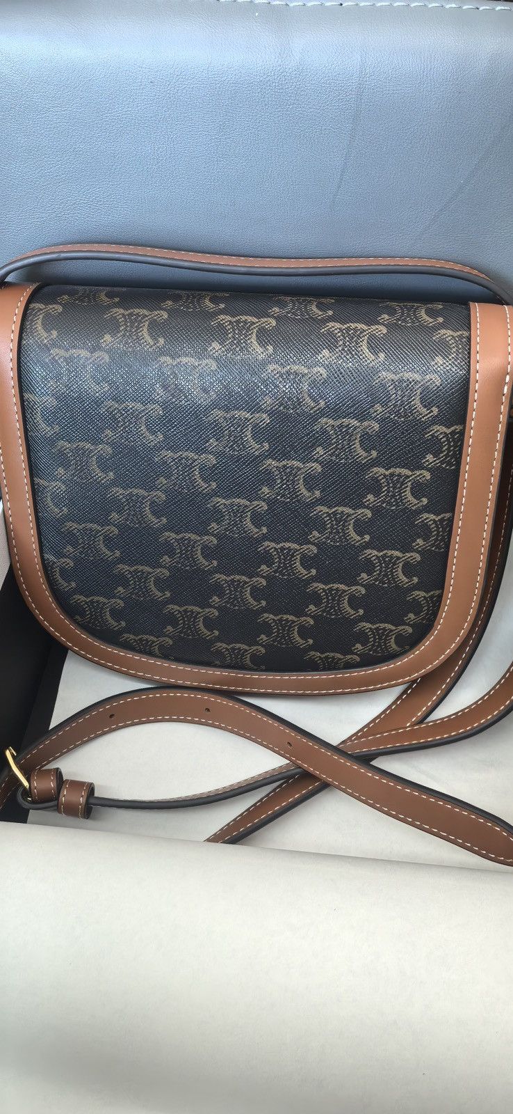 Celine Classique Triomphe Bag in Triomphe Canvas and Calfskin Size ONE SIZE - 4 Thumbnail