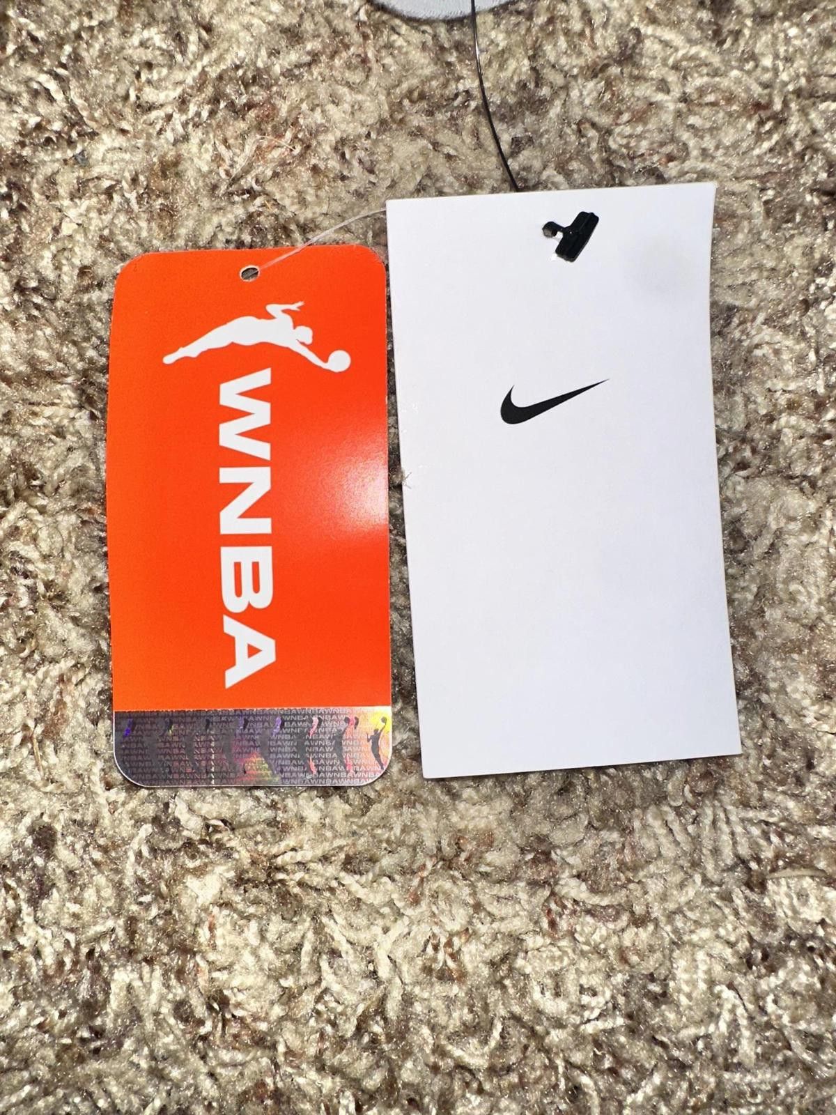 Nike Team 13 Nike Club Fleece WNBA Grey Joggers Size US 34 / EU 50 - 11 Thumbnail