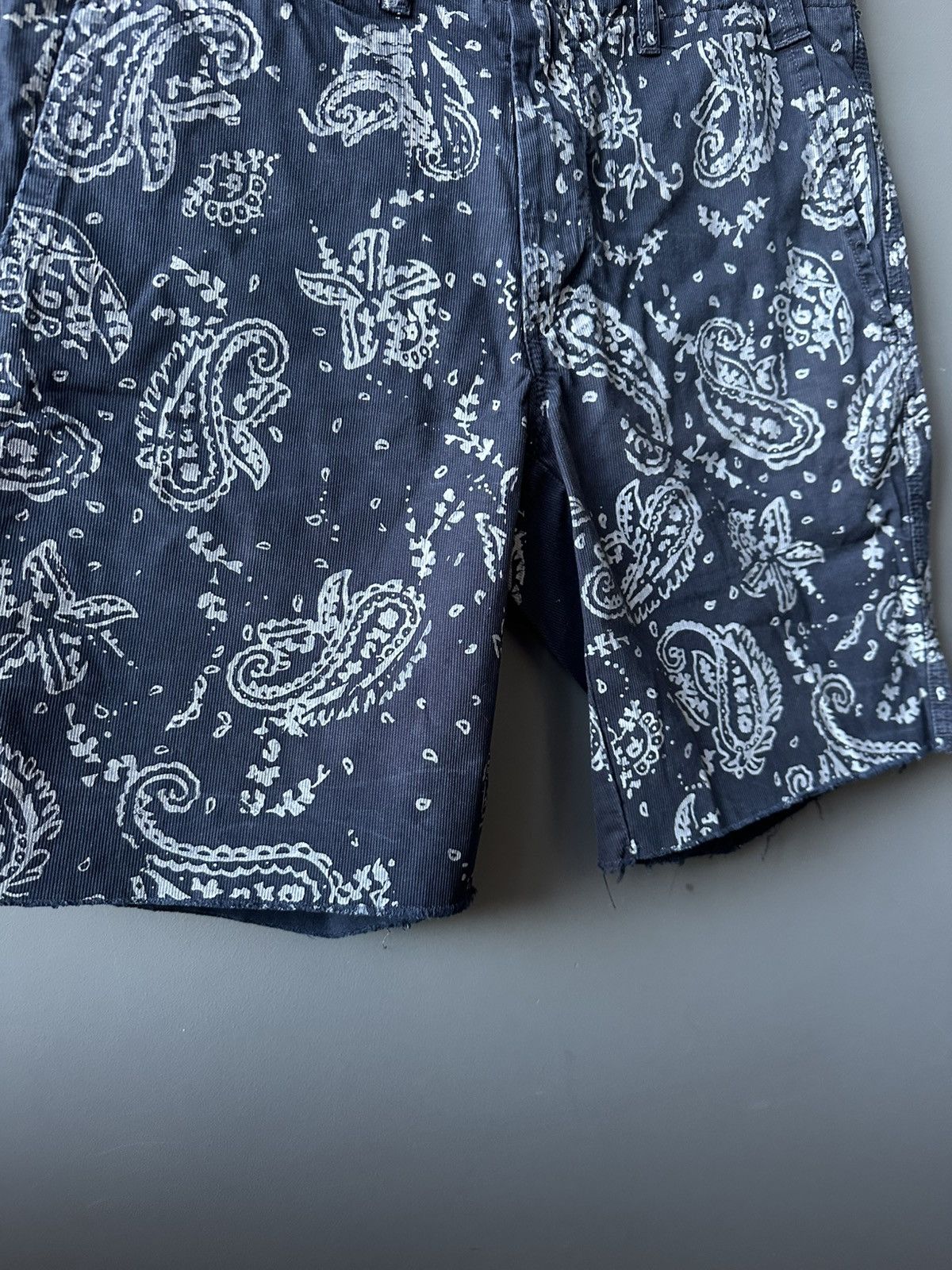 Polo Ralph Lauren Polo Ralph Lauren Paisley Print Shorts Size 30 Size US 30 / EU 46 - 3 Thumbnail