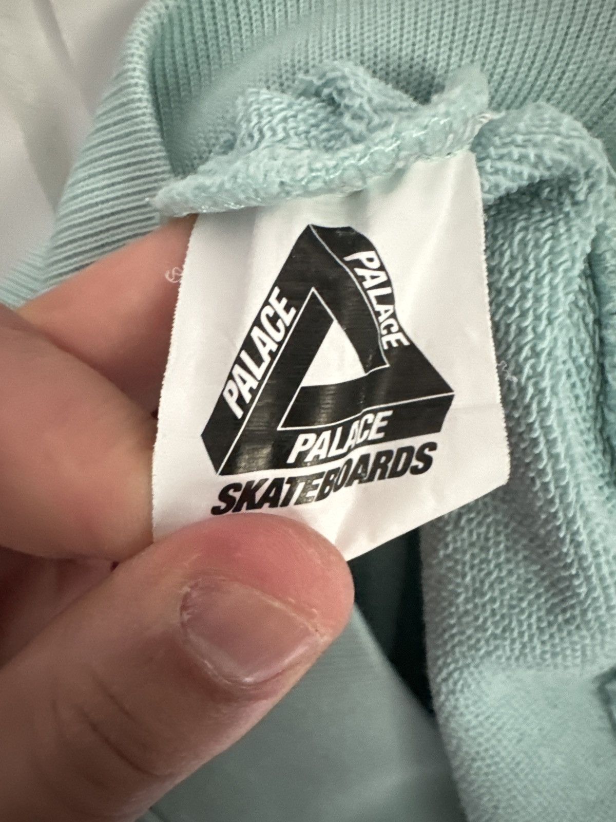 Palace Palace Sans Ferg Hoodie - Duck Egg Blue Size US S / EU 44-46 / 1 - 4 Thumbnail
