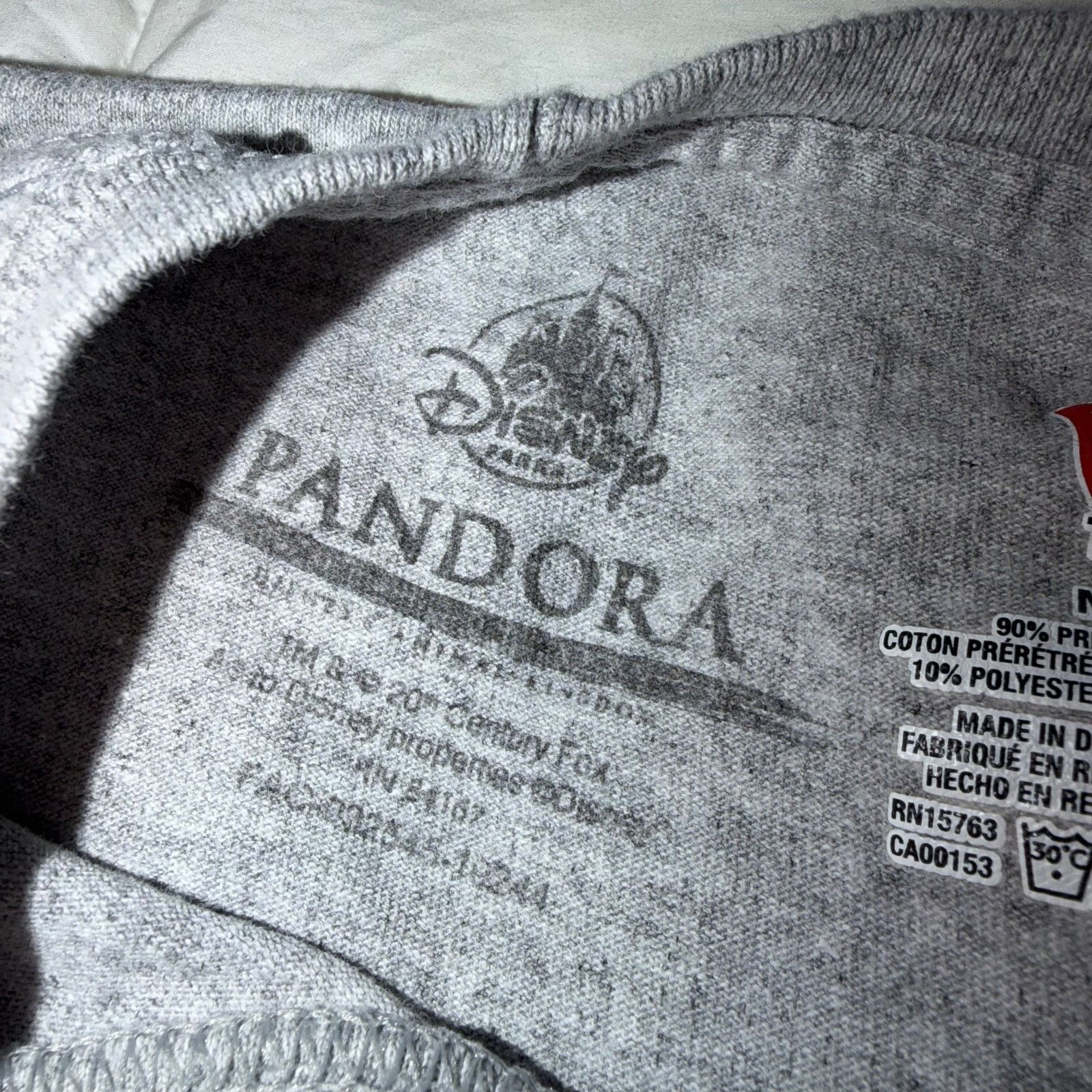 Disney Disney Pandora Avatar T Shirt Mens L Gray Animal Kingdom Size US L / EU 52-54 / 3 - 4 Thumbnail