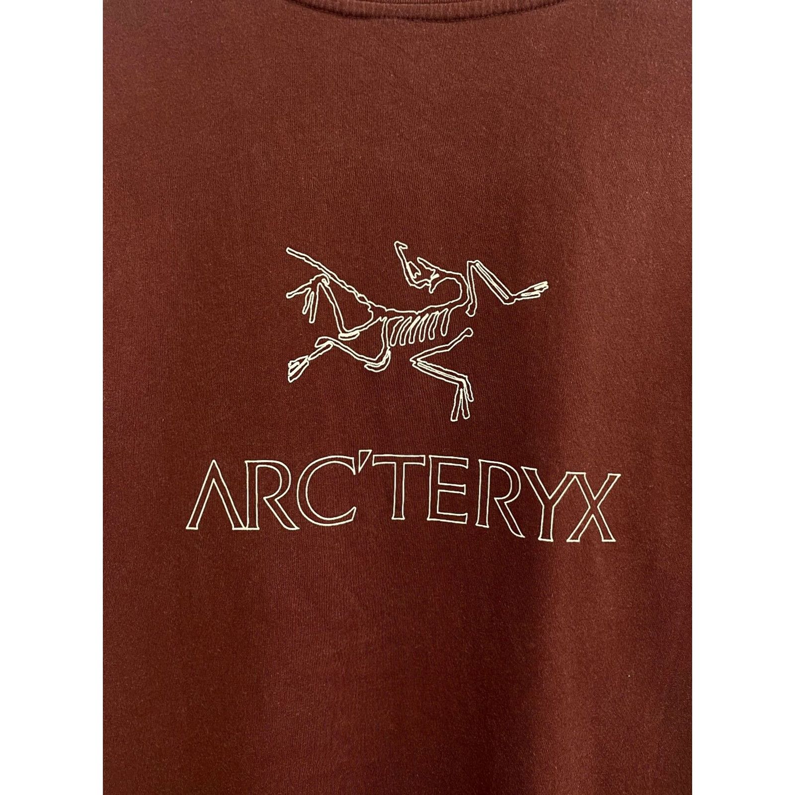 Arc'teryx VINTAGE Arc’teryx Outdoor T-Shirt Mens M Brown Retro Y2K Size US M / EU 48-50 / 2 - 4 Thumbnail