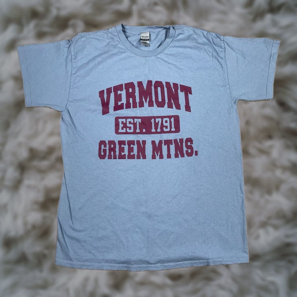 Gildan Gildan T-Shirt Adults L Large Blue Ultra Cotton Vermont Green Mountaineers Shirt Regular Blue Mens Size US L / EU 52-54 / 3 - 1 Thumbnail