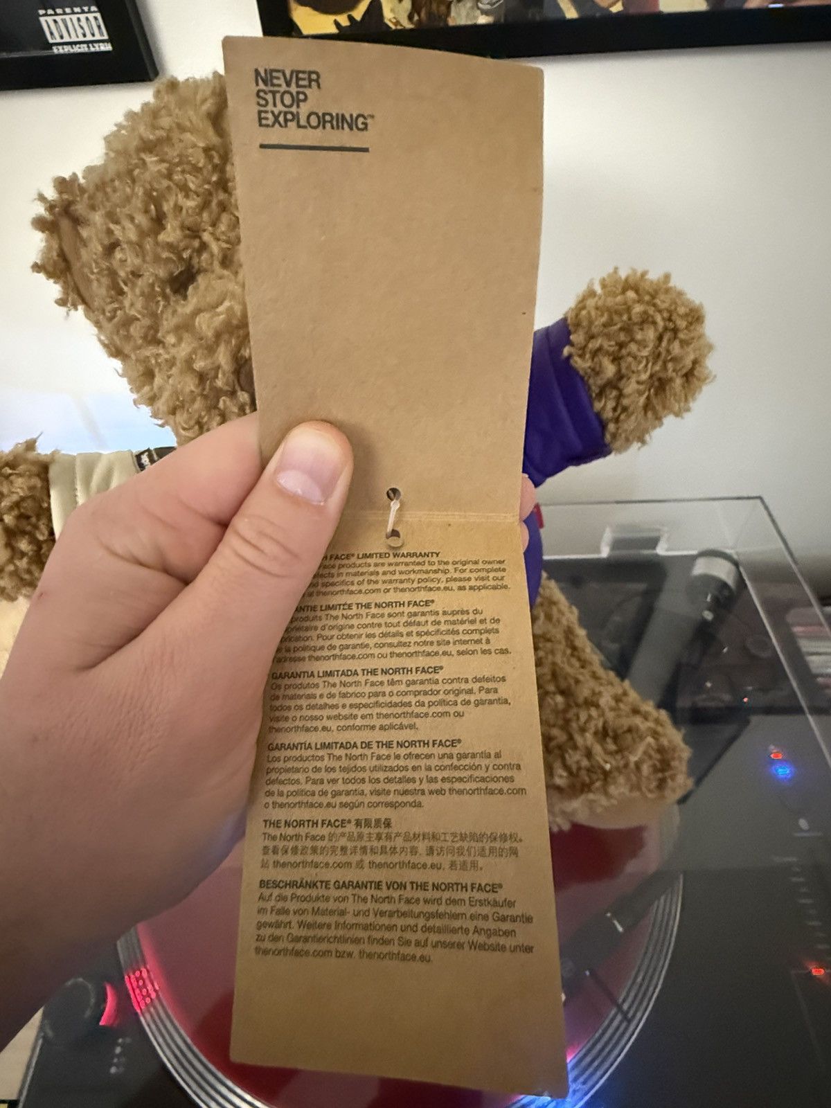 Supreme × The North Face Teddy Bear Size ONE SIZE - 6 Thumbnail