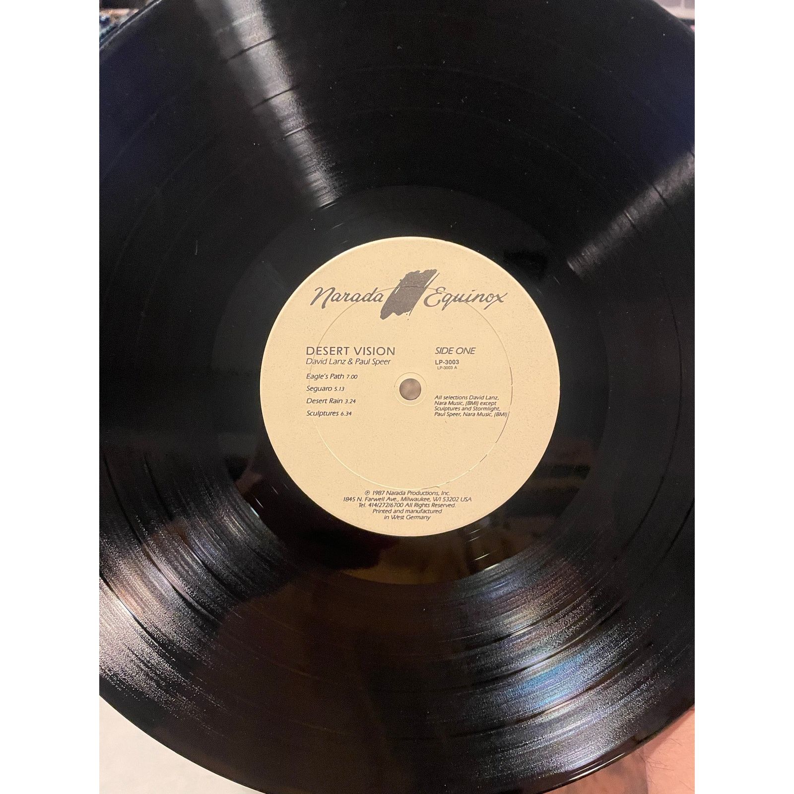INTENTIONALLY BLANK David Lanz / Paul Speer - Desert Vision LP ambient new age Size ONE SIZE - 3 Thumbnail