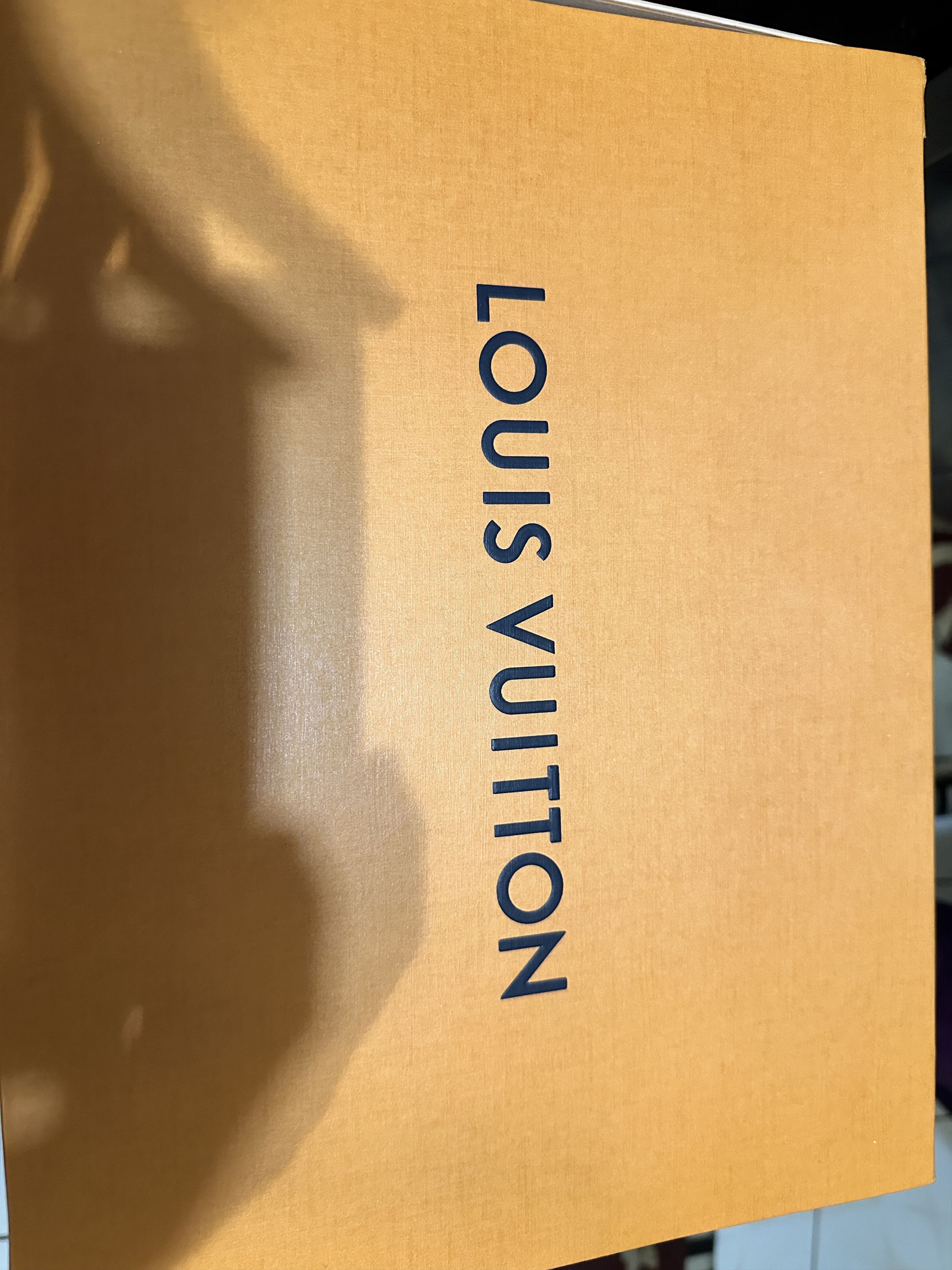 Louis Vuitton LV Archlight Sneaker Size US 8.5 / IT 38.5 - 9 Thumbnail
