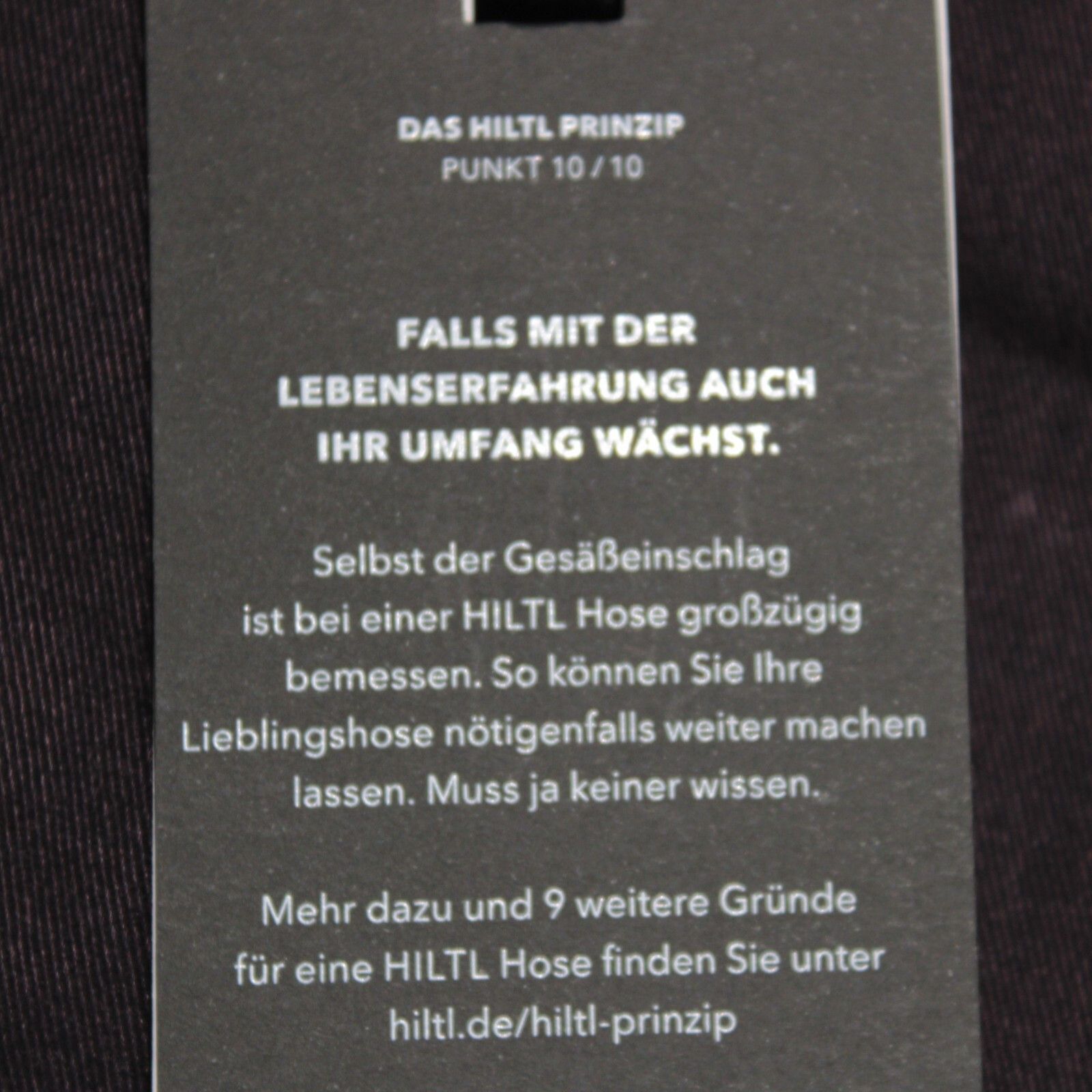 Hiltl New with tags Chino Size 34 US In Purple