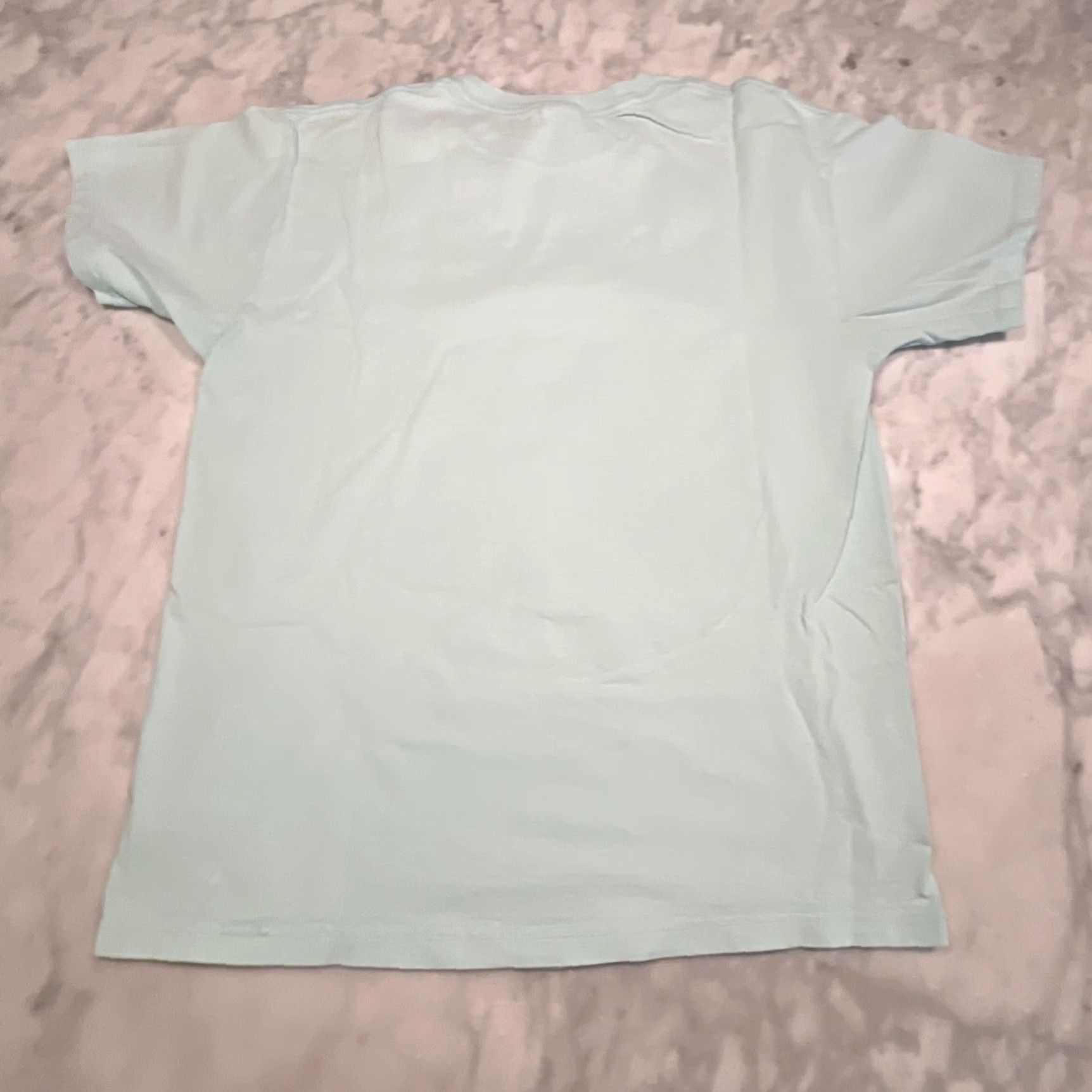 Fruit Of The Loom VINTAGE Prescott Highland Games T Shirt Men L Arizona Graphic Renaissance Dinosaur Teal Men Size US L / EU 52-54 / 3 - 4 Thumbnail