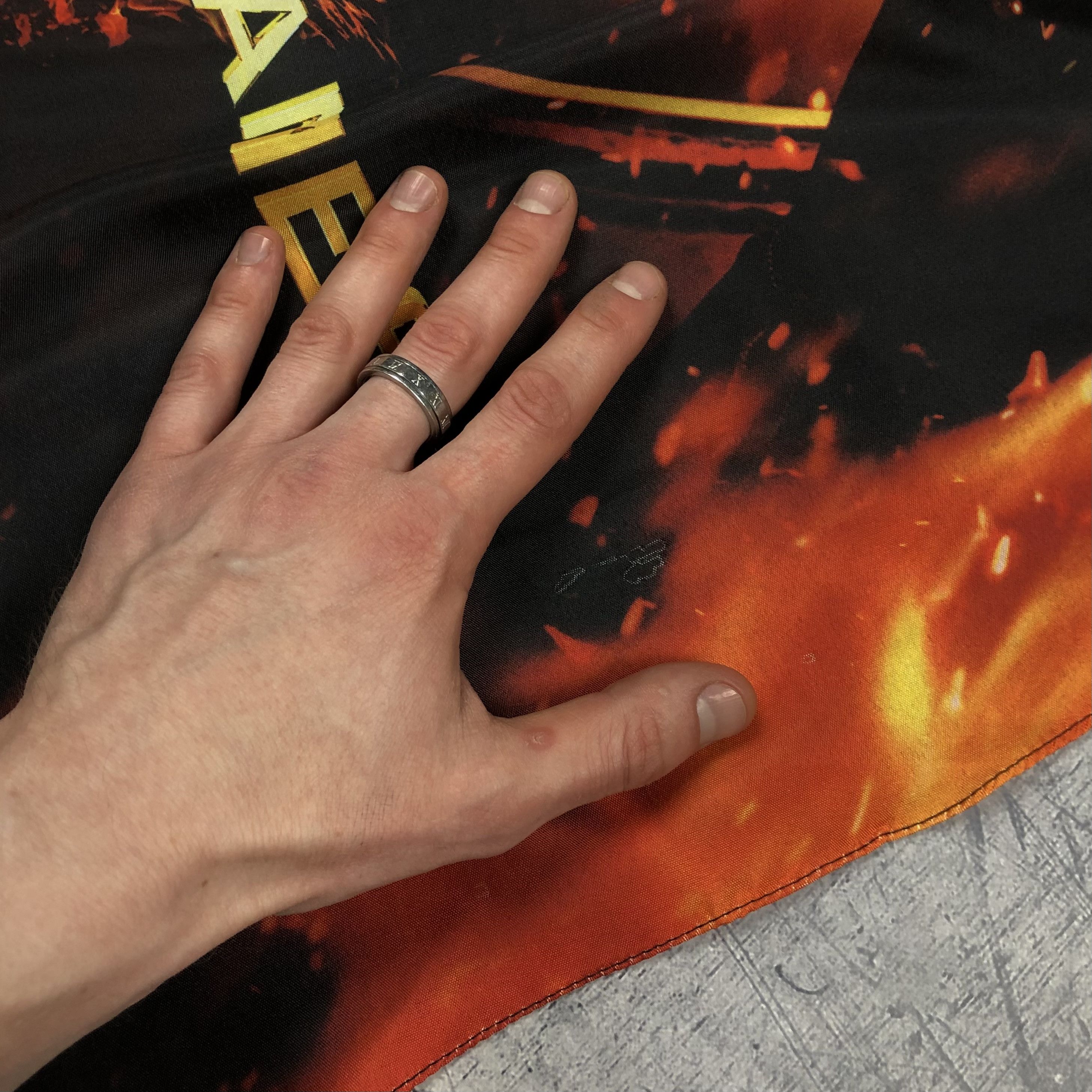 Expert Horror 2012 Hunger Games Dystopian Flag Poster Size ONE SIZE - 9 Thumbnail