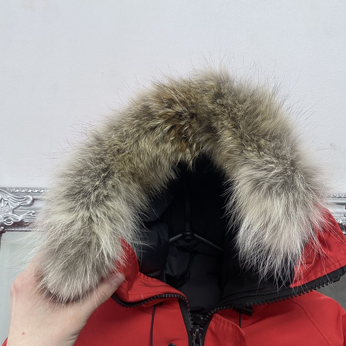 Canada Goose Canada Goose Chilliwack Bomber Jacket Size US L / EU 52-54 / 3 - 10 Thumbnail