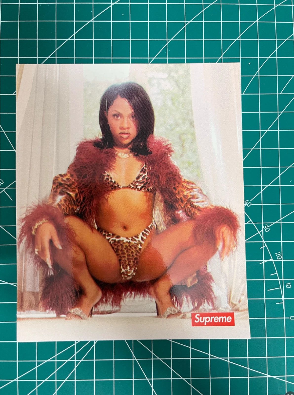 Supreme Supreme Lil Kim Sticker Size ONE SIZE - 1 Preview