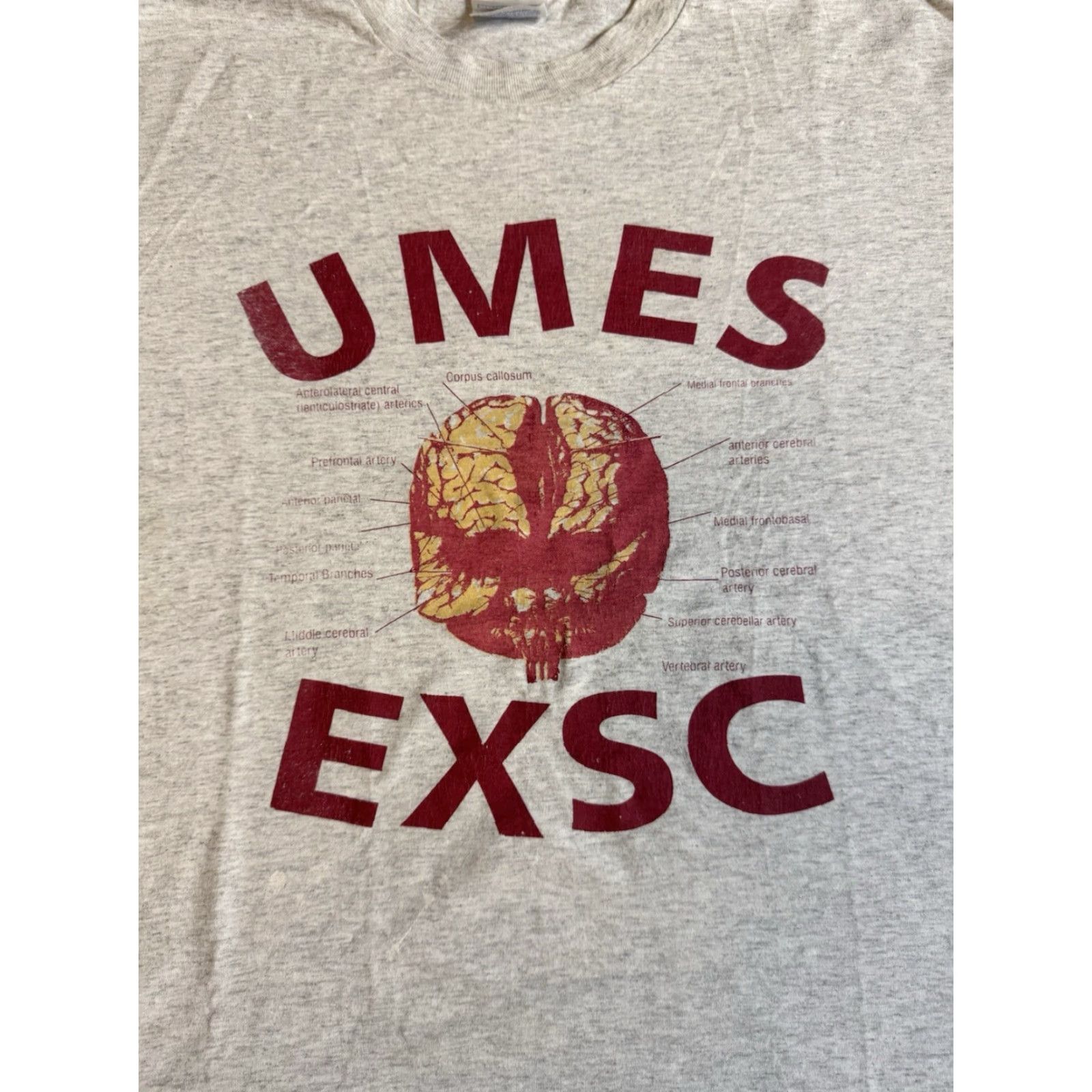 Hanes VINTAGE Hanes T-Shirt 90s University Sports Science 90s College UMES Exercise Kinesiology Brain Logo Gray L Short Sleeve Crew Neck Men Size US L / EU 52-54 / 3 - 2 Thumbnail
