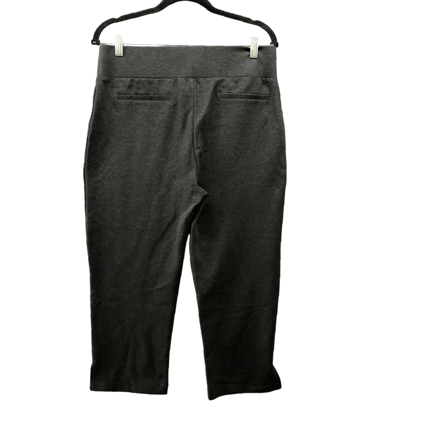 Vintage Tapata Pull On Capri Pants Womens L Gray Inseam 20.5" Ponte Stretchy Capris Flat Front Silk? Size 36" / US 14 / IT 50 - 2 Thumbnail