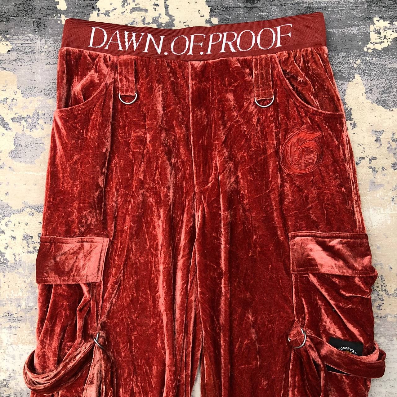 Other P590 LOS ANGELES TERRITORY VELVET CARGO SWEATPANTS Size US 34 / EU 50 - 3 Thumbnail