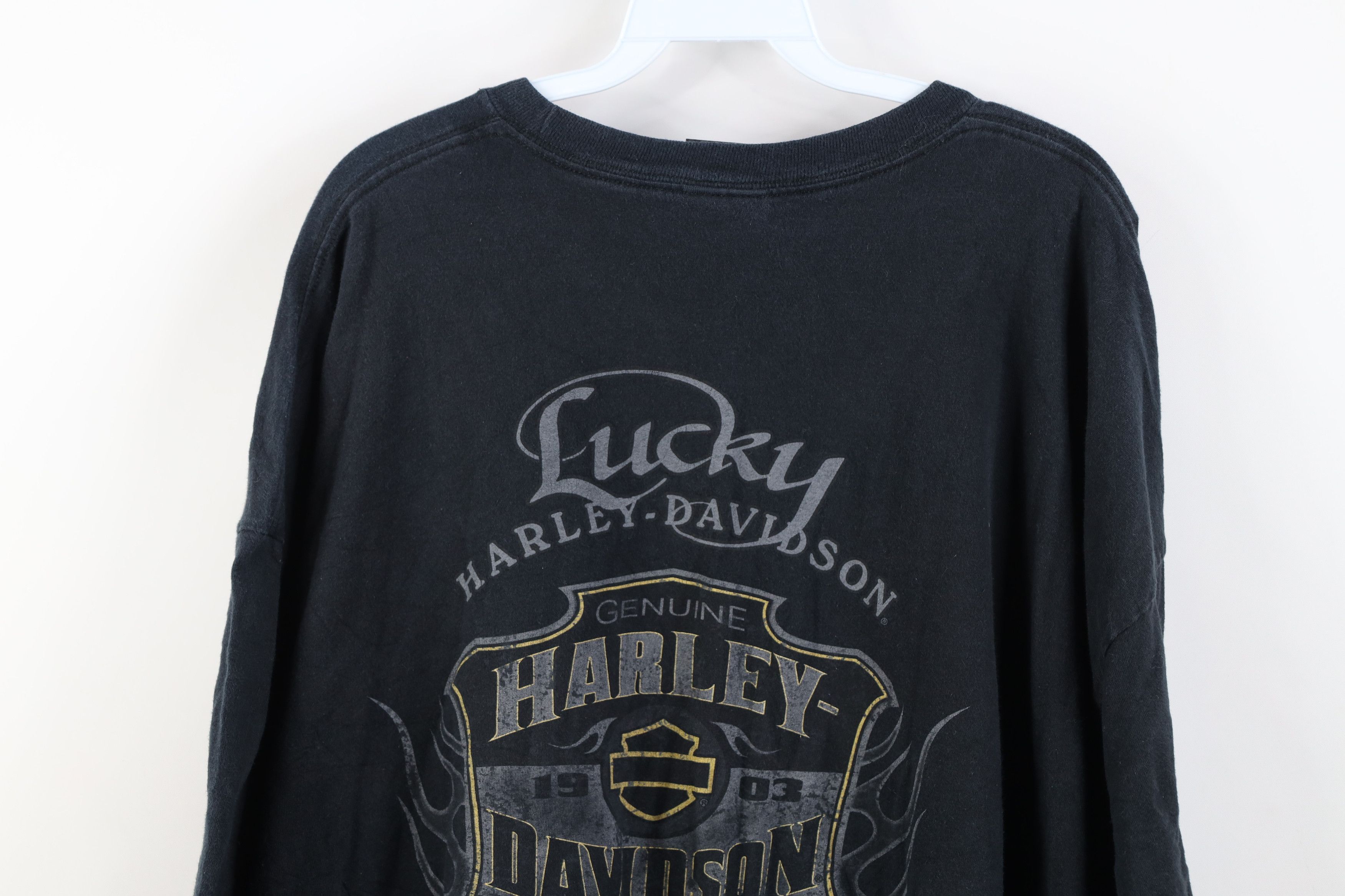 Harley Davidson Vintage Y2K Harley Davidson Spell Eagle Fire Flames T-Shirt Size US XXL / EU 58 / 5 - 15 Thumbnail