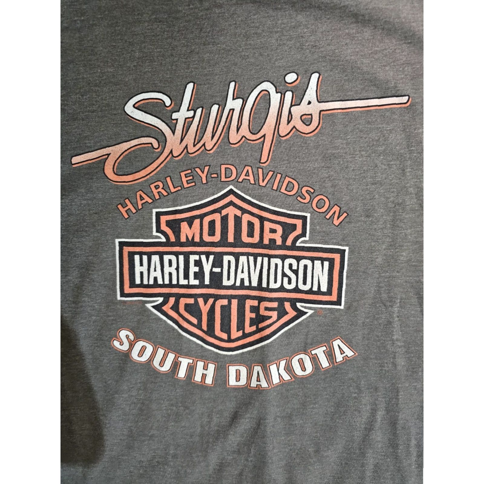 Harley Davidson VINTAGE Harley Davidson HD Sturgis Motorcycle Graphic T-shirt 2005 Mens Size XL Gray Size US XL / EU 56 / 4 - 8 Thumbnail