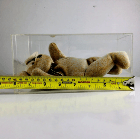 Vintage Ty 1999 Signature Bear Beanie Baby Retired Plush w/ Display Size ONE SIZE - 7 Thumbnail