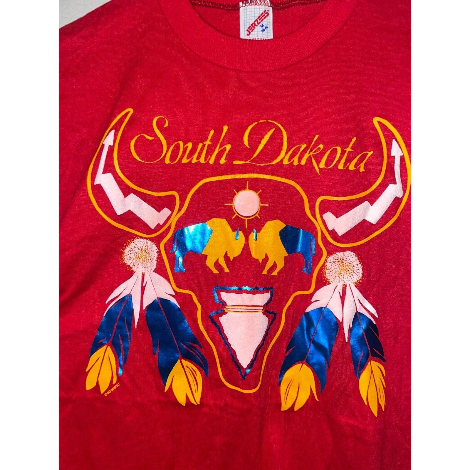 Jerzees Vintage South Dakota Shirt Native American Red Tee 90s VTG M Size US M / EU 48-50 / 2 - 2 Thumbnail