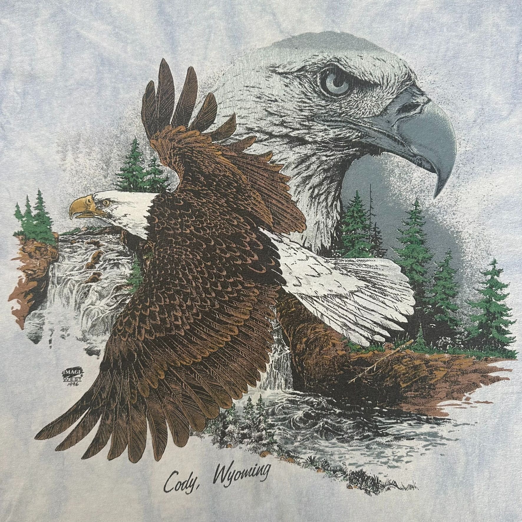 Vintage Vintage 90s Eagle Nature T-Shirt Cody Wyoming 1996 Western W Size US L / EU 52-54 / 3 - 2 Thumbnail