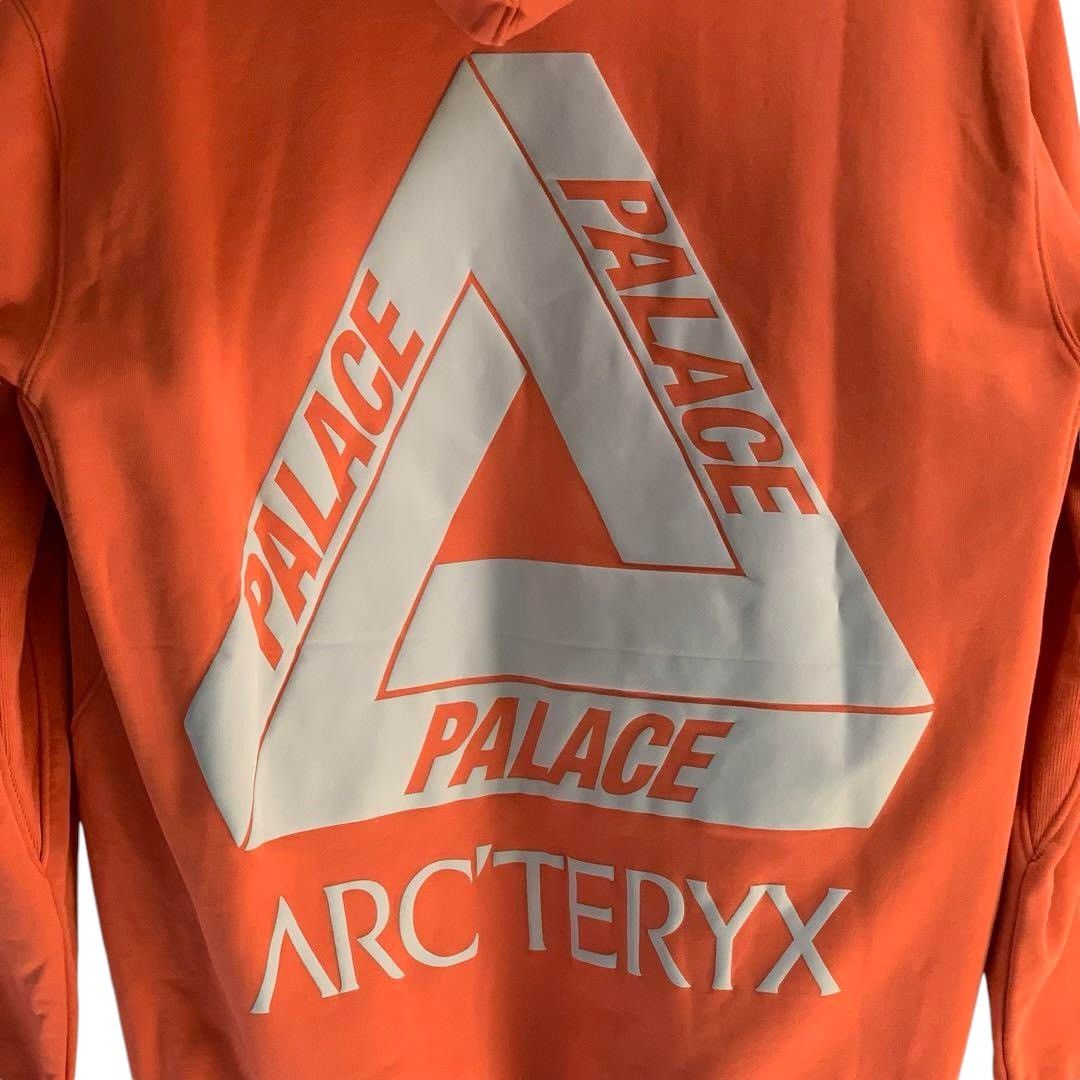 Arc'teryx × Palace Arcteryx x Palace Hoodie Size US M / EU 48-50 / 2 - 6 Thumbnail