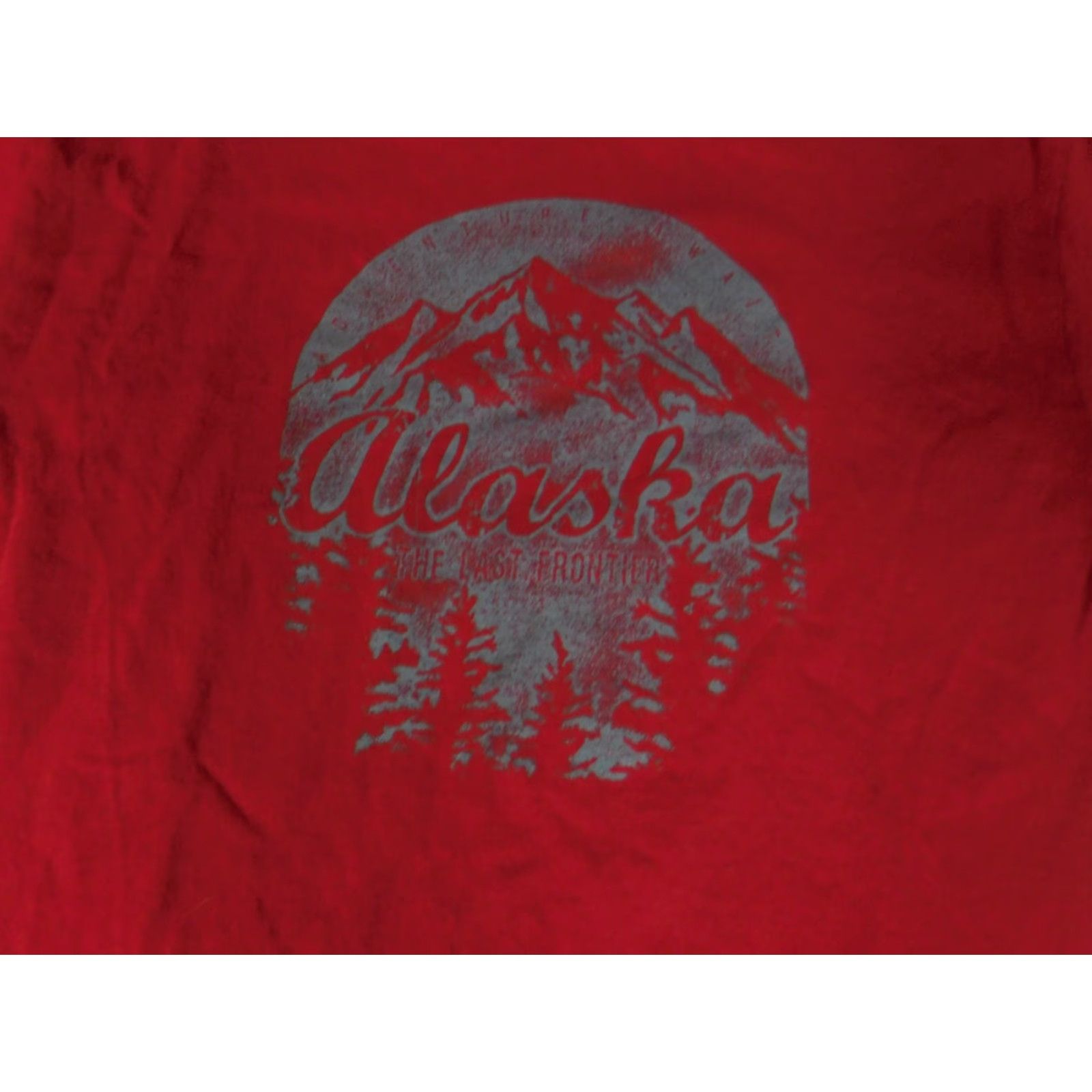 Delta Delta Alaska Mens Shirt L Regular Red Knit Cotton T-Shirt with Logo Beach American Vintage? Size US L / EU 52-54 / 3 - 4 Thumbnail