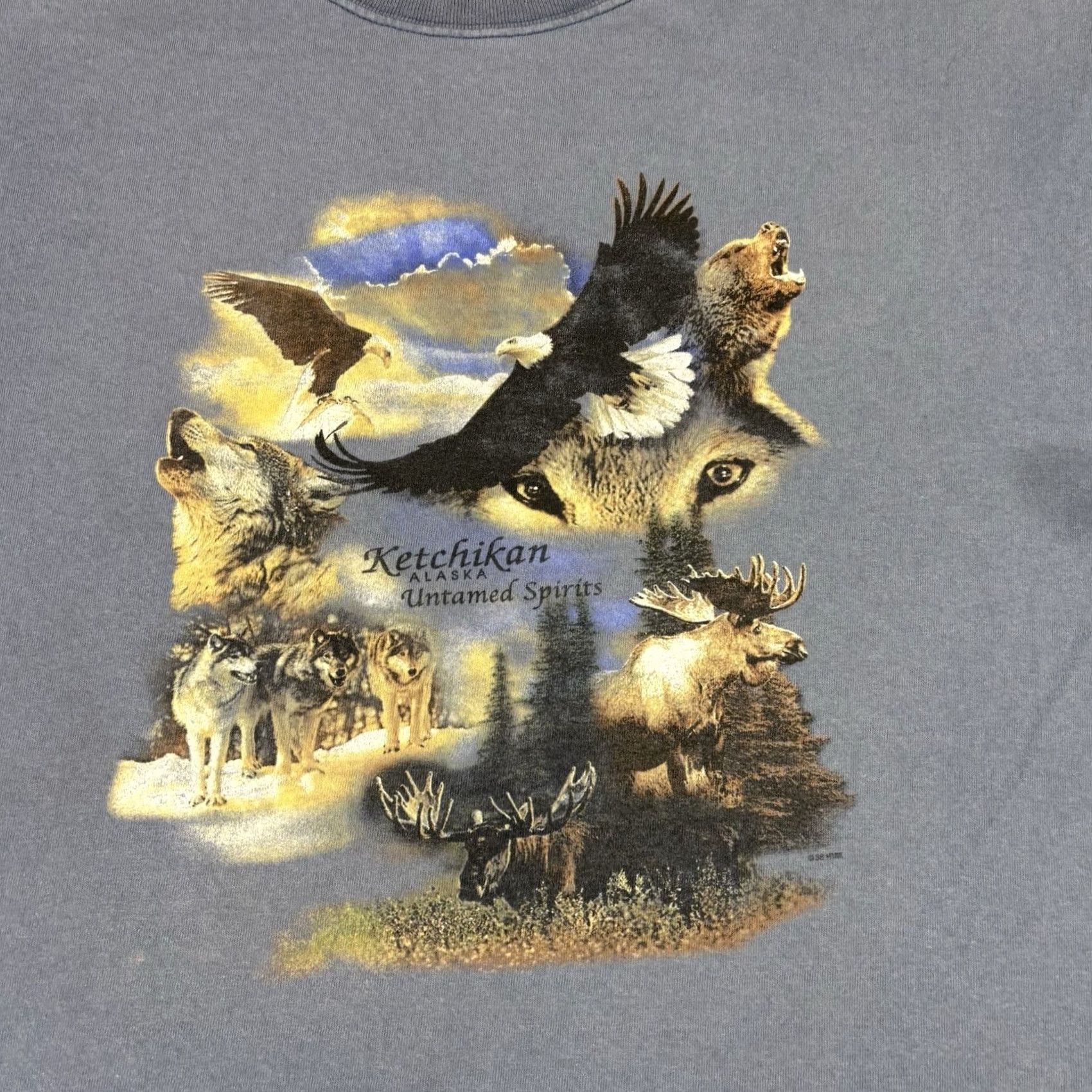 Gildan VINTAGE 90s Alaska Nature Outdoors Animal T Shirt XL Blue Distressed Mens Size US XL / EU 56 / 4 - 3 Thumbnail