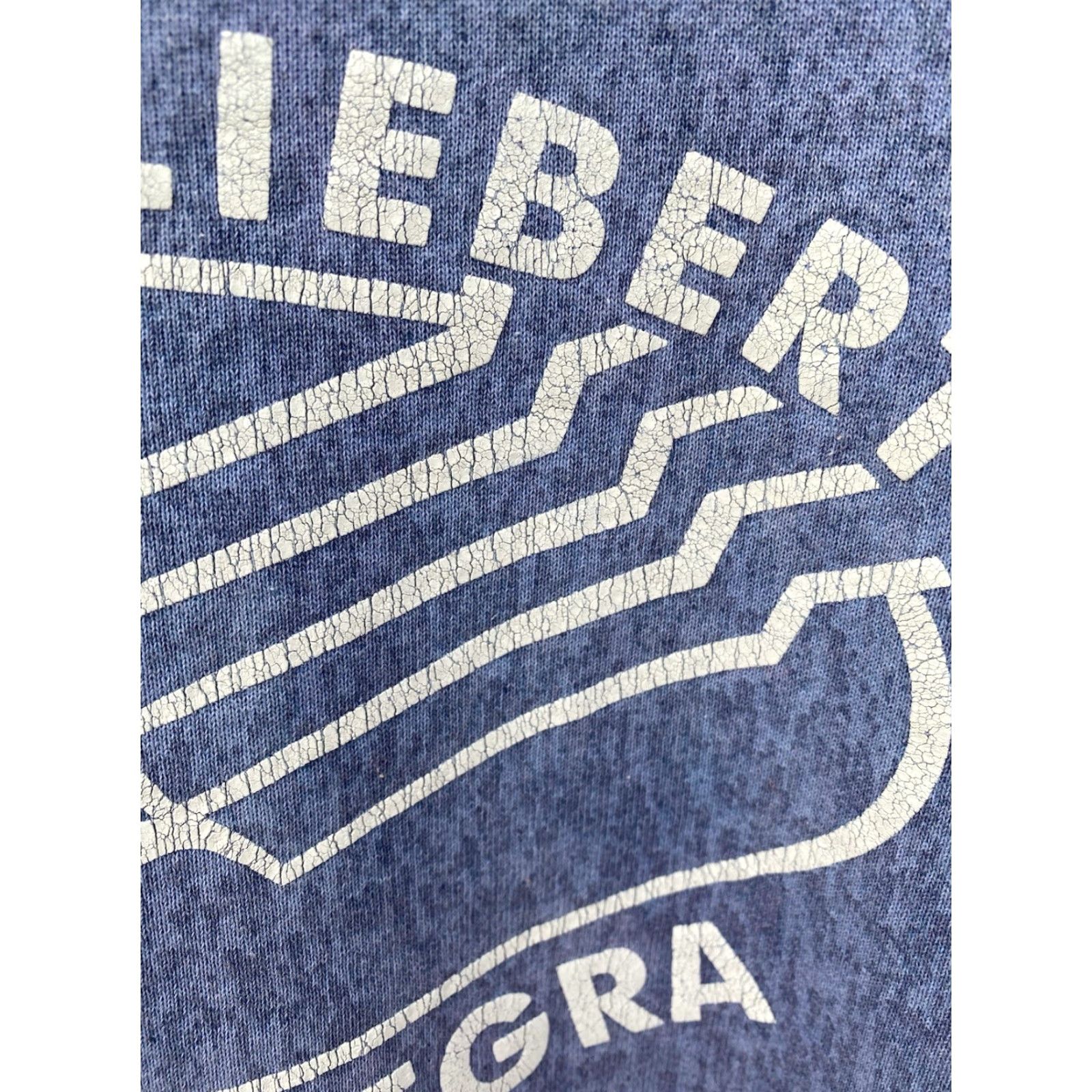 Hanes VINTAGE Hanes Sweatshirt Ottmar Liebert Luna Negra Graphic Print XL Blue Hanes Heavyweight Size US XL / EU 56 / 4 - 5 Thumbnail