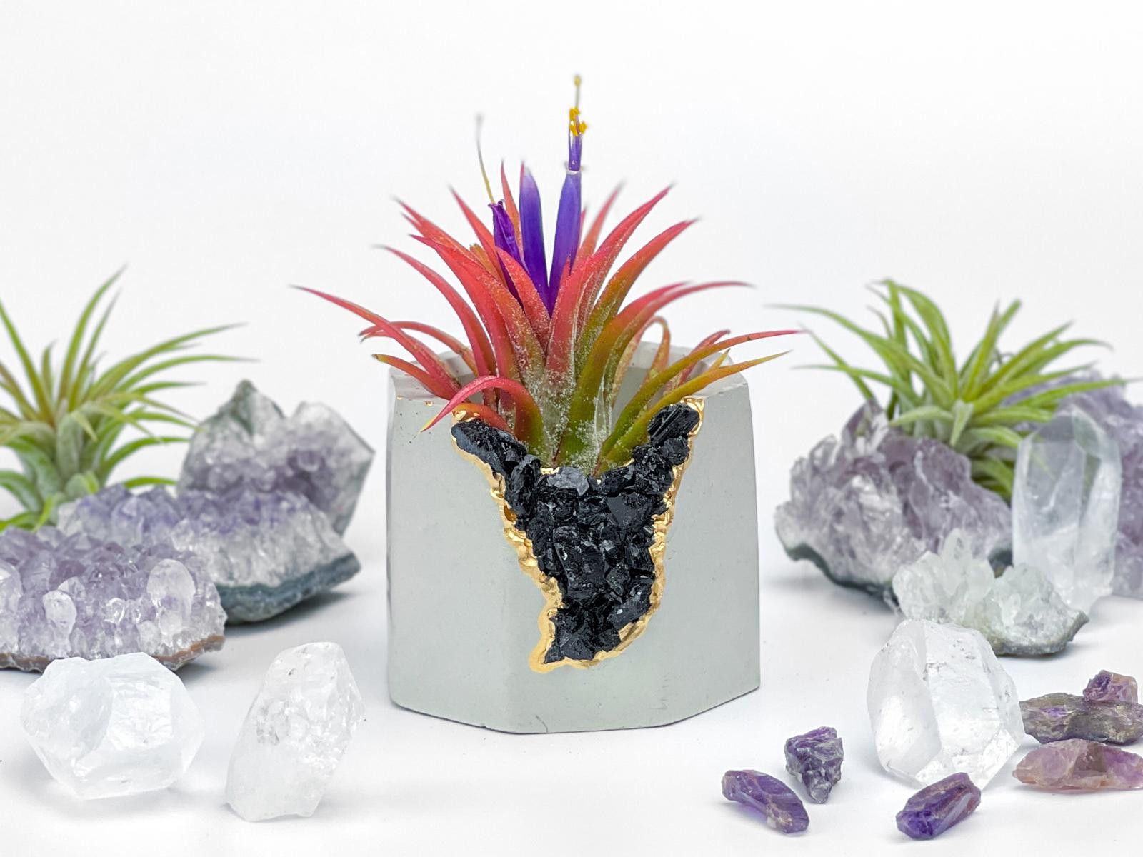 Other Black Tourmaline Geode Planter Handmade Succulent Pot yoga Size ONE SIZE - 5 Thumbnail