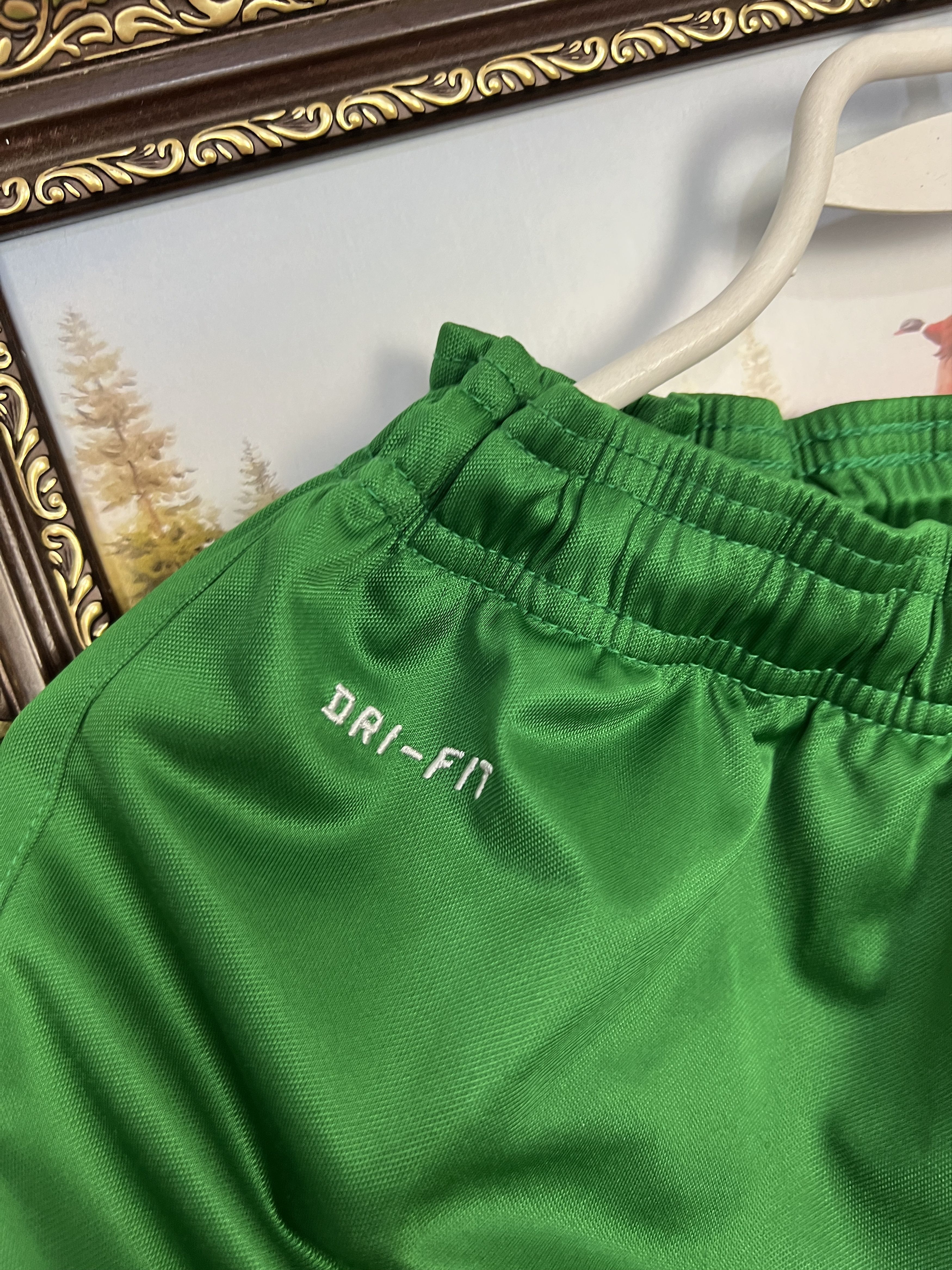 Nike Nike Dynamo Dresden Football Shorts Soccer Green Athletic L Size US 34 / EU 50 - 5 Thumbnail