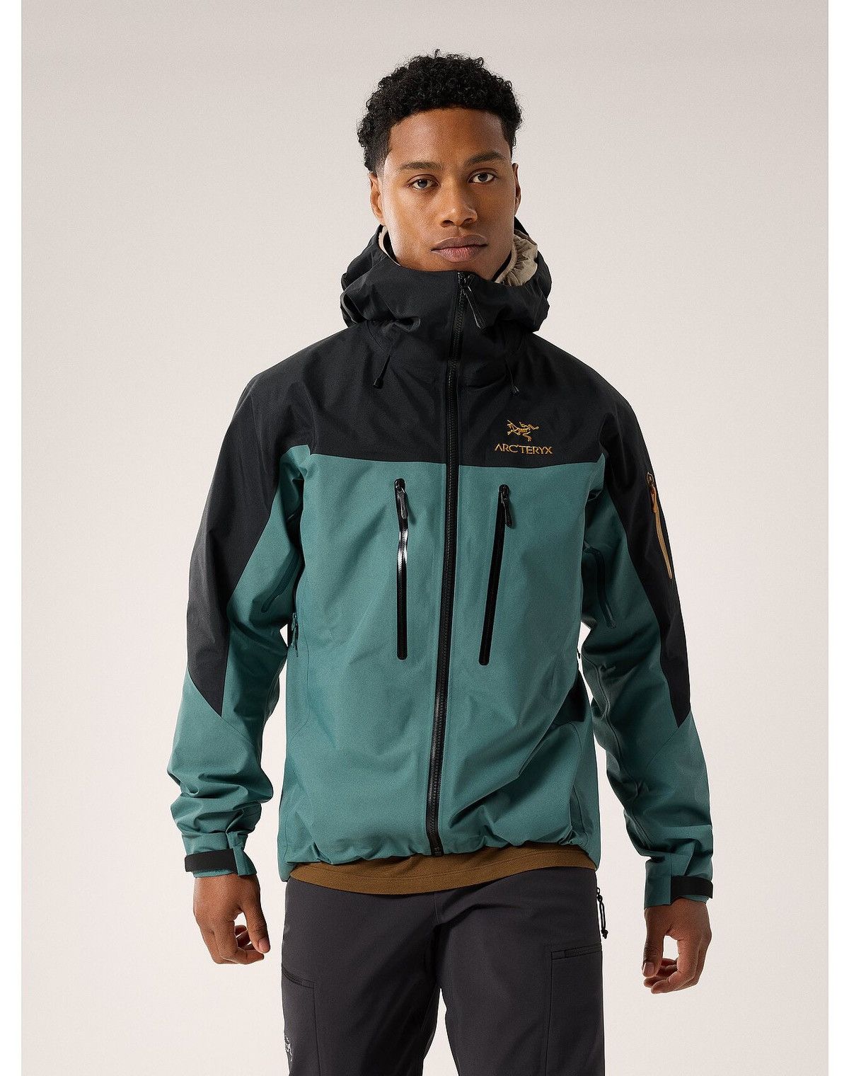 Arc'teryx Arc'teryx Alpha SV Dark Magic - Medium | Grailed Arc'teryx Arc'teryx Alpha SV Dark Magic - Medium | Grailed