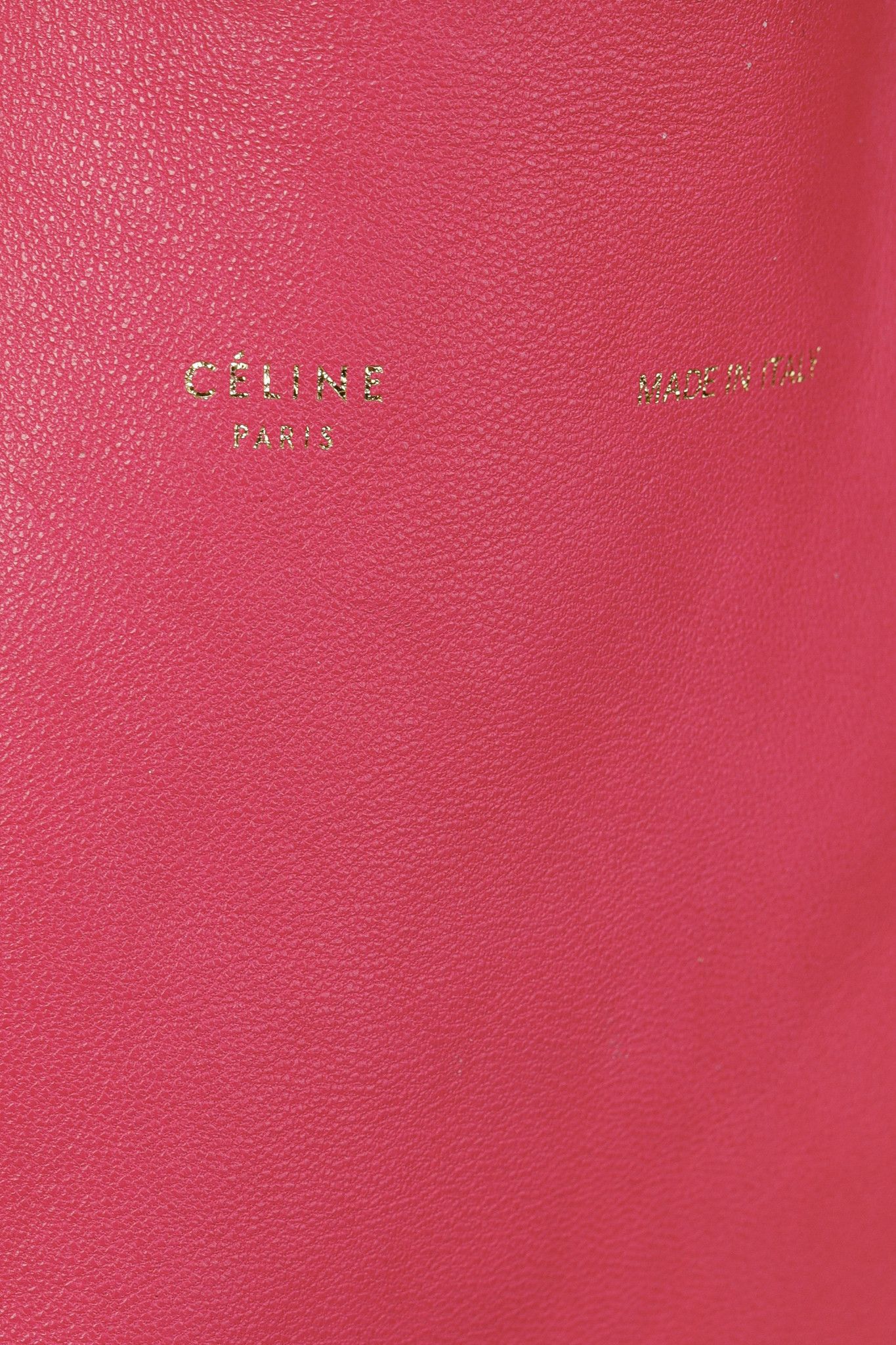 Celine Celine 2011 Lambskin Vertical Cabas Hibiscus Tote Bag Size ONE SIZE - 8 Thumbnail